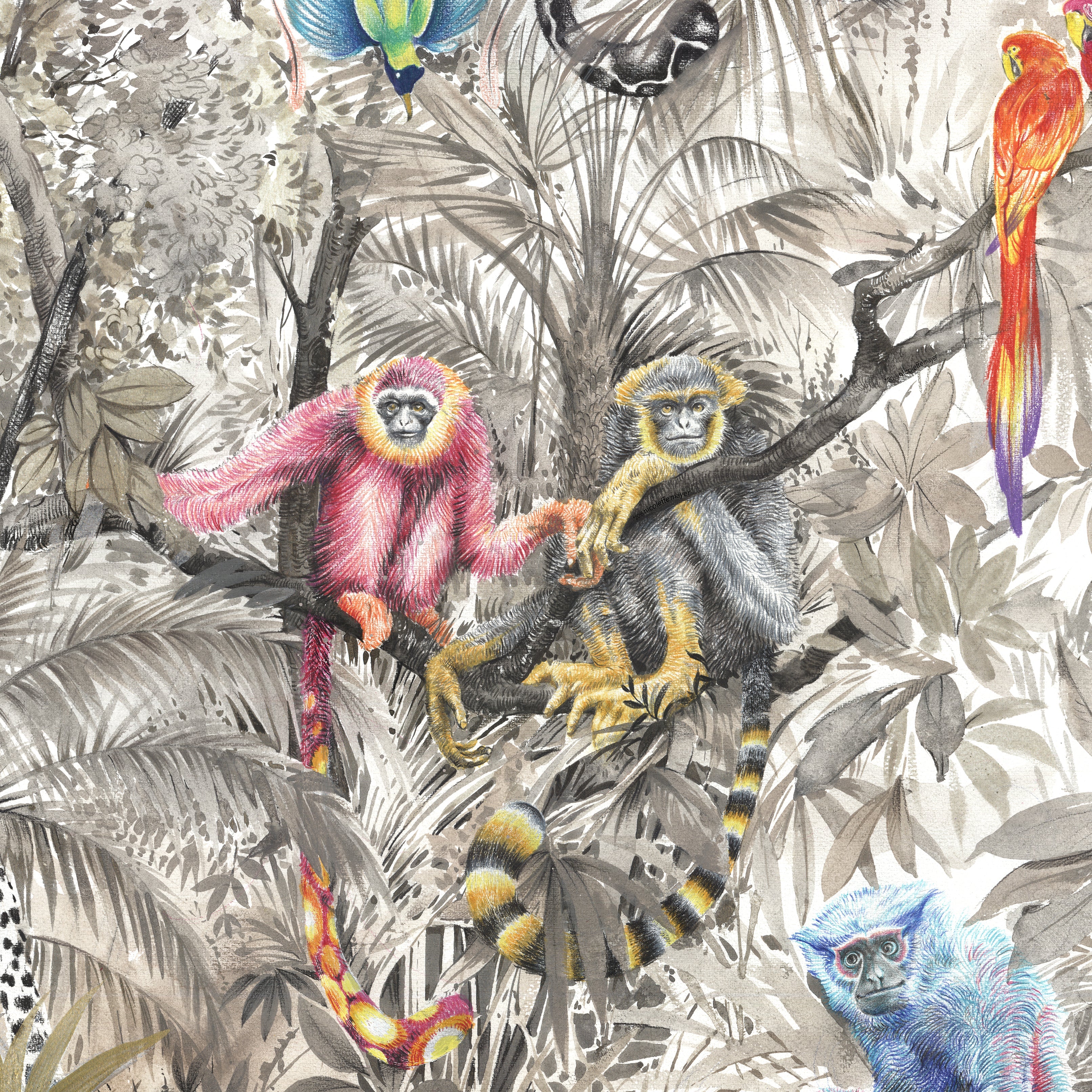 Animal Patterns - nicolettemayer.com