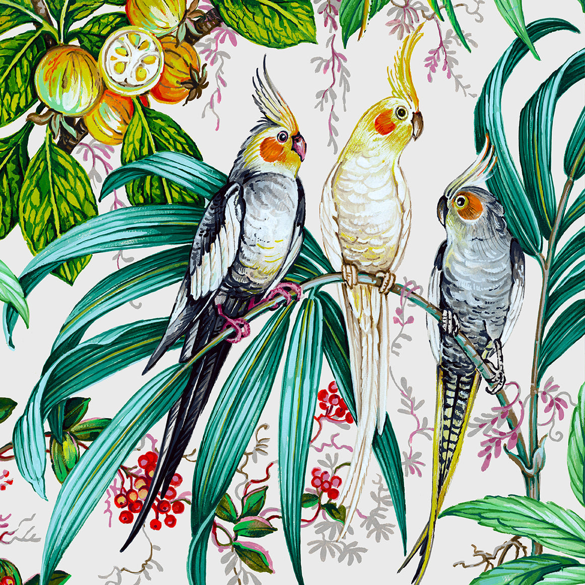 Botanical/Birds - nicolettemayer.com