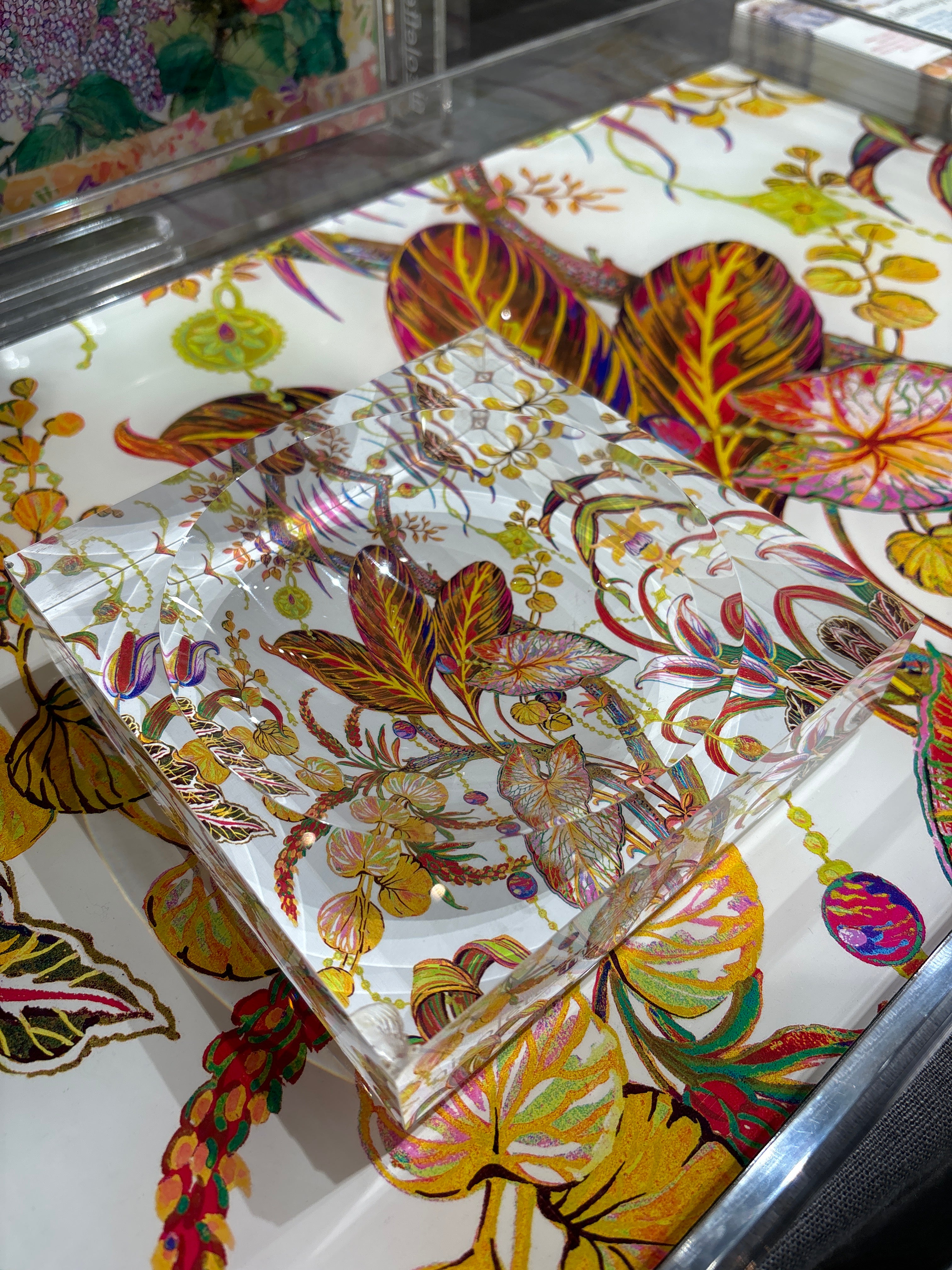 Amazonia Splendor Acrylic Candy Catchall Dish - nicolettemayer.com