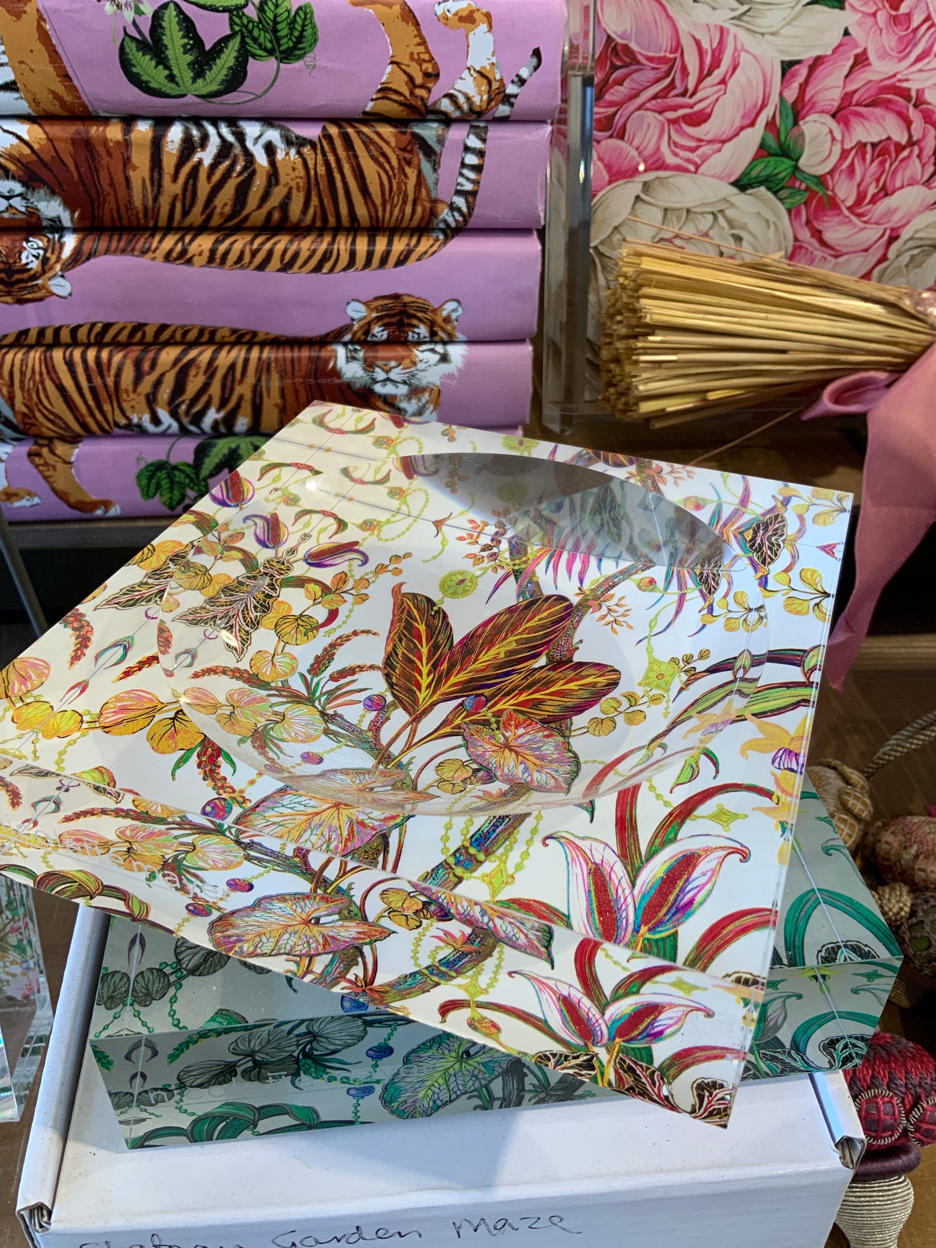 Amazonia Splendor Acrylic Candy Catchall Dish