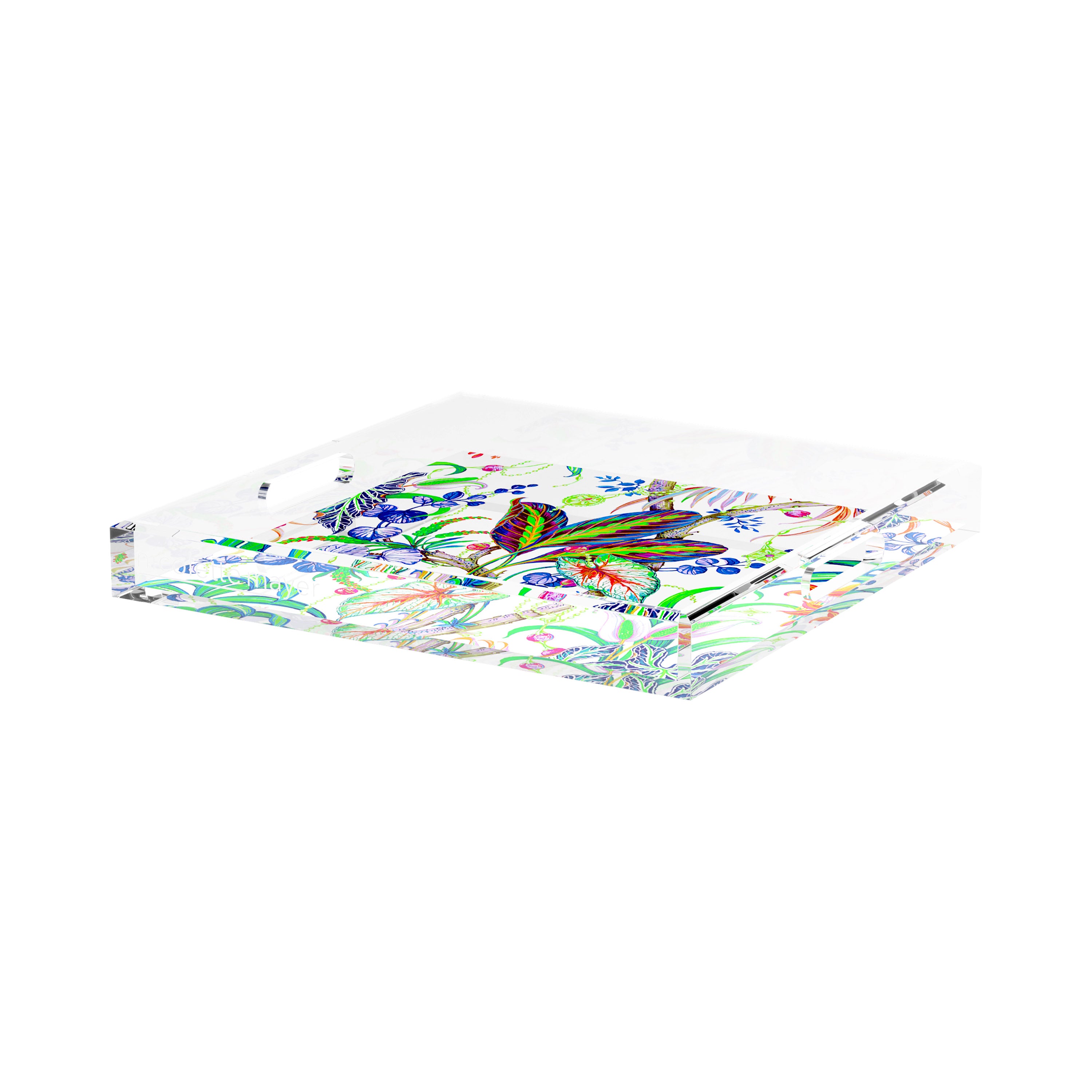 Amazonia Classic 15X15 Acrylic Tray - nicolettemayer.com