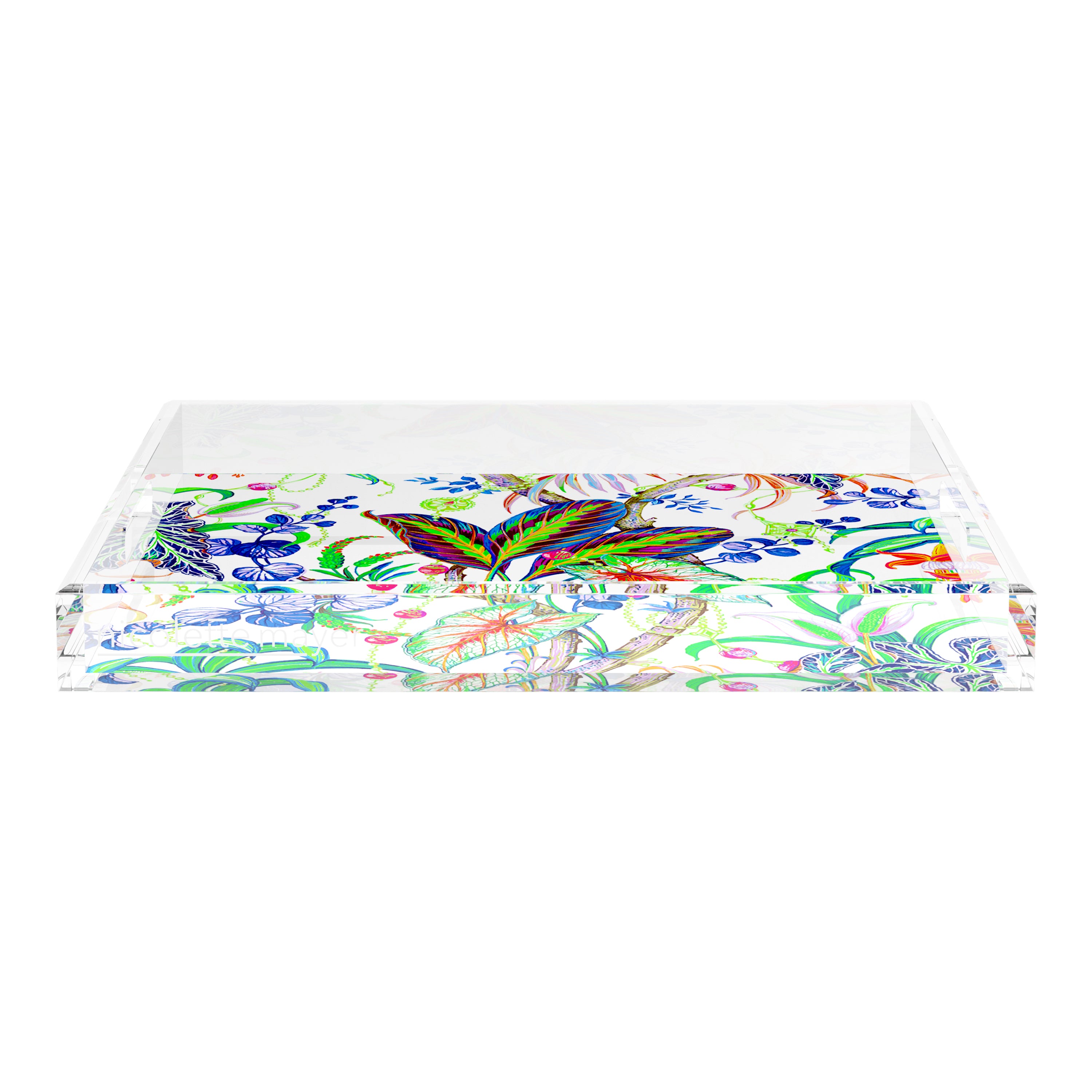 Amazonia Classic 18X18 Acrylic Tray - nicolettemayer.com