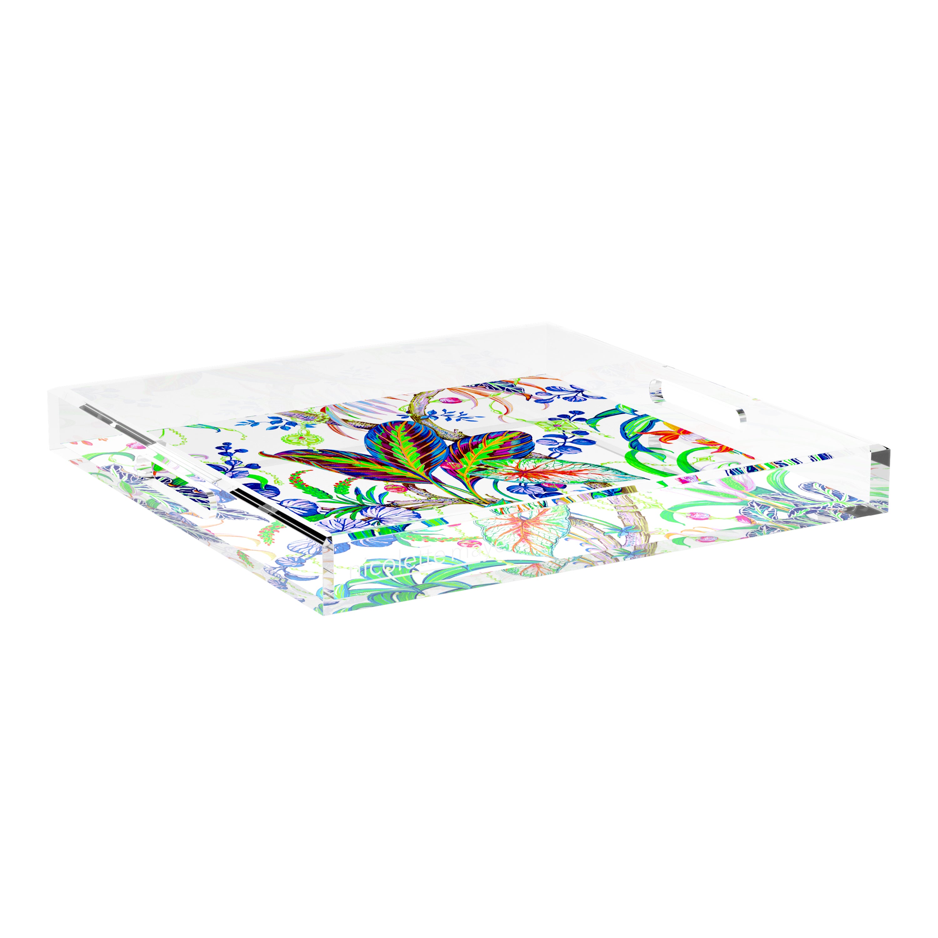Amazonia Classic 18X18 Acrylic Tray - nicolettemayer.com