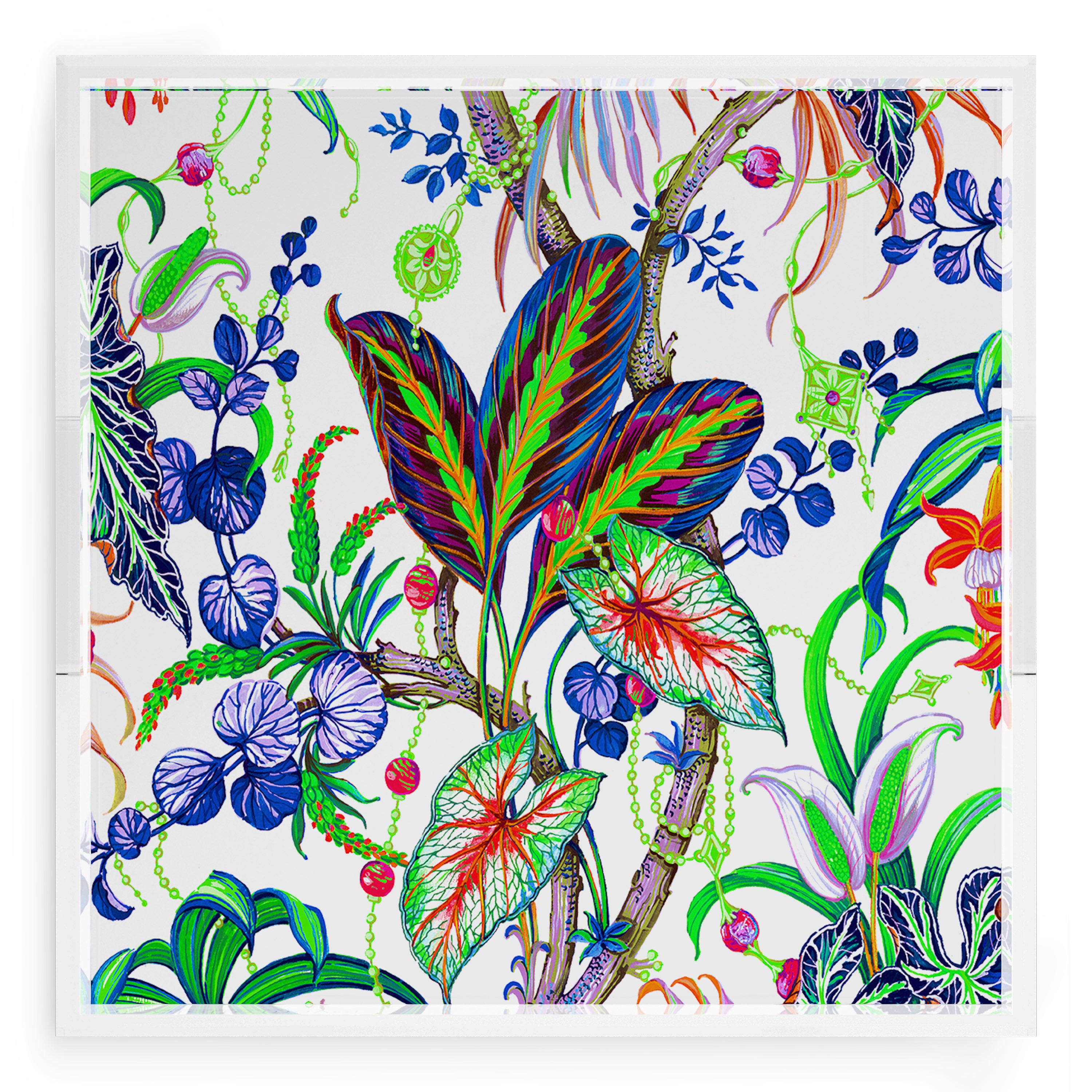 Amazonia Classic 18X18 Acrylic Tray - nicolettemayer.com