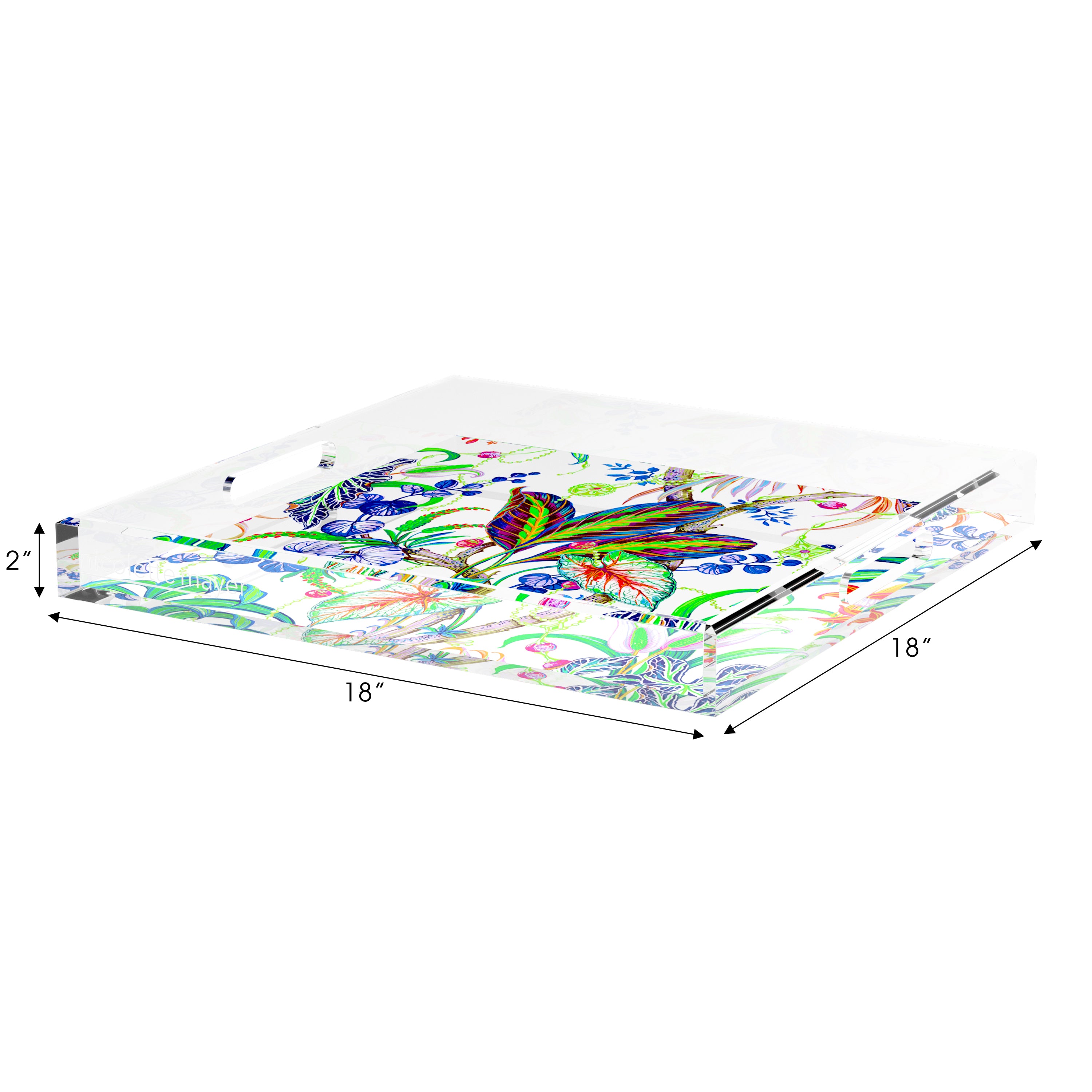 Amazonia Classic 18X18 Acrylic Tray - nicolettemayer.com