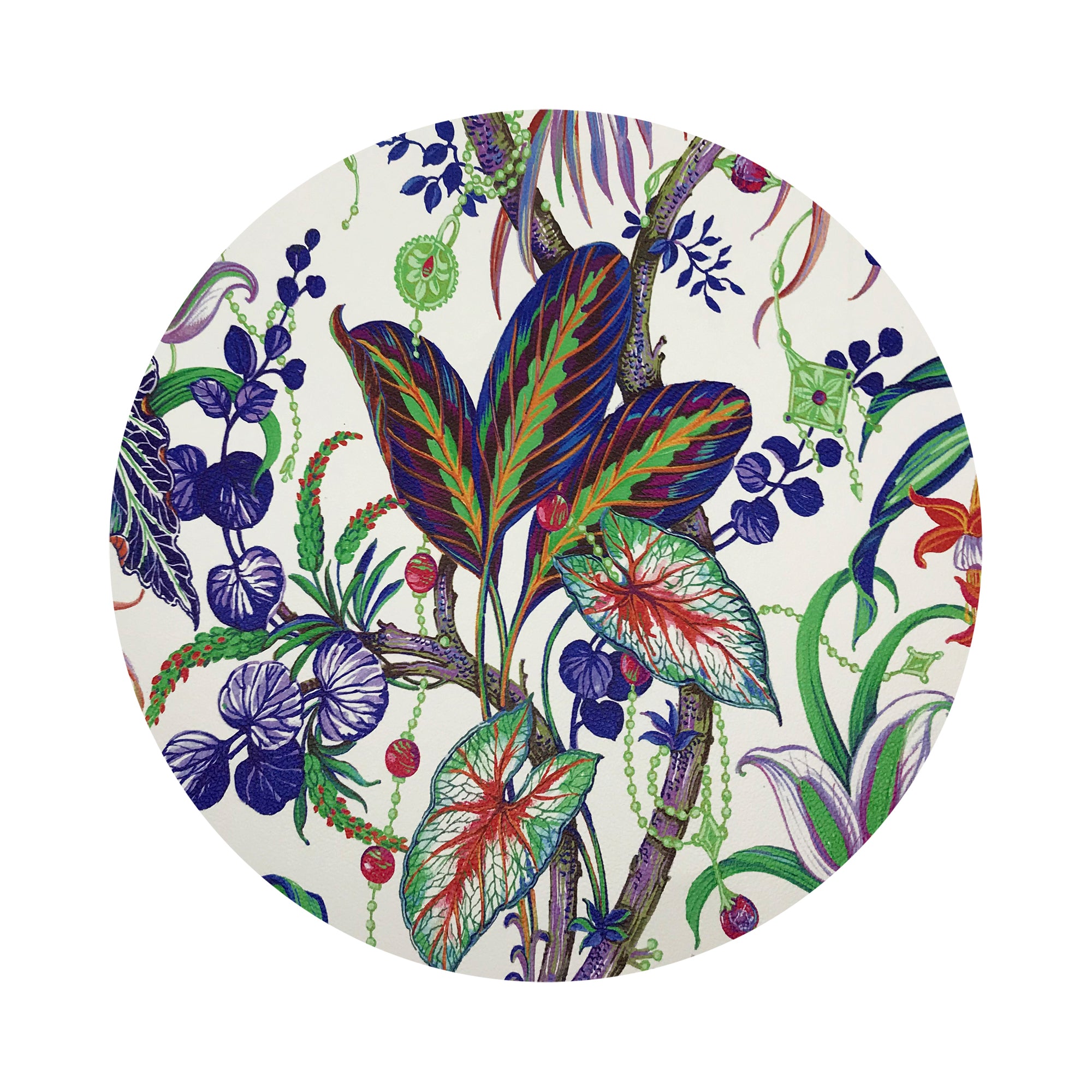 Amazonia Classic Coasters Set - nicolettemayer.com
