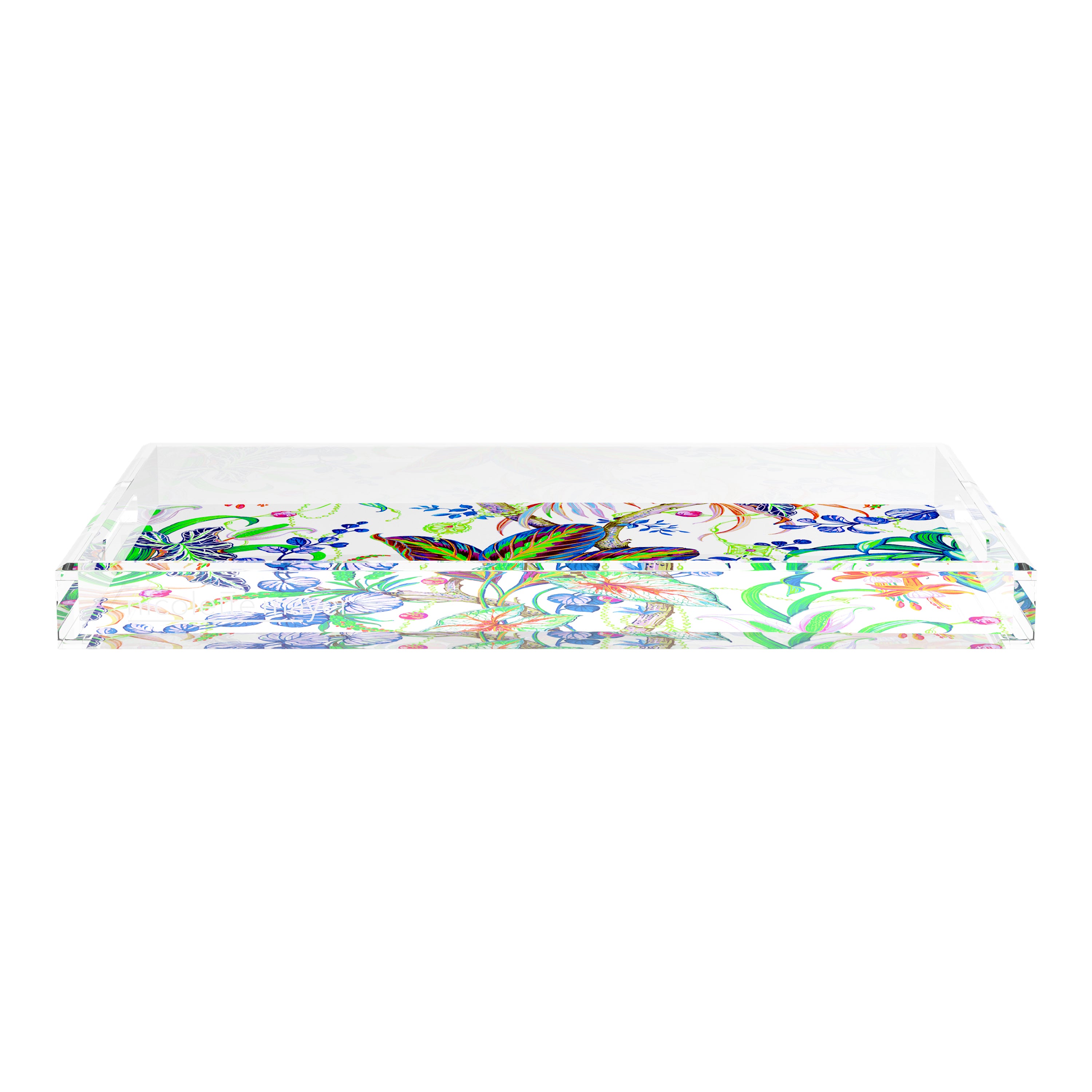 Amazonia Classic 22.5X14.5 Acrylic Tray - nicolettemayer.com