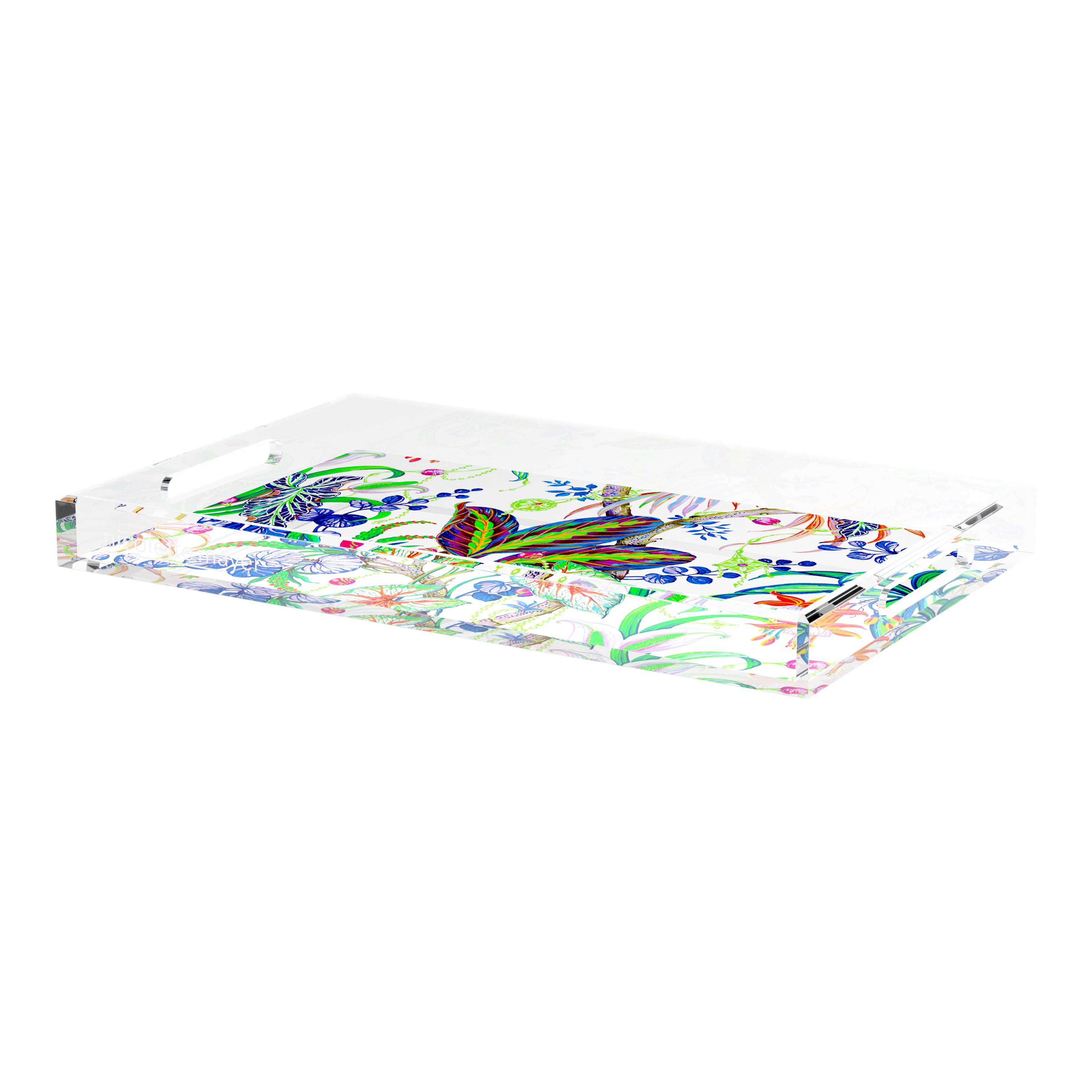 Amazonia Classic 22.5X14.5 Acrylic Tray - nicolettemayer.com