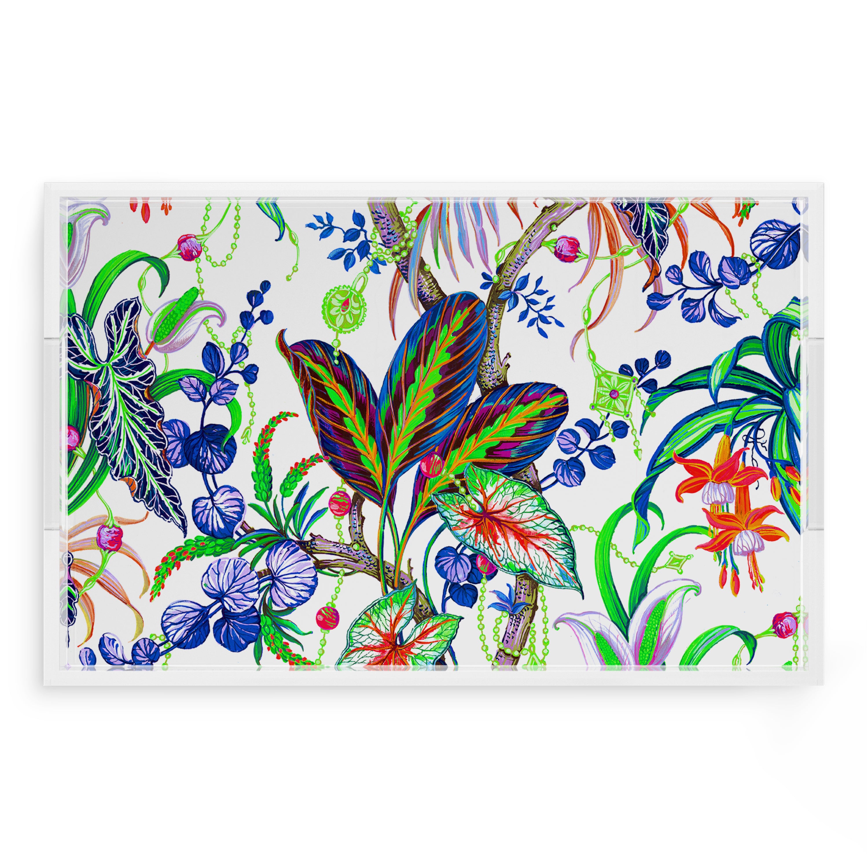 Amazonia Classic 22.5X14.5 Acrylic Tray - nicolettemayer.com