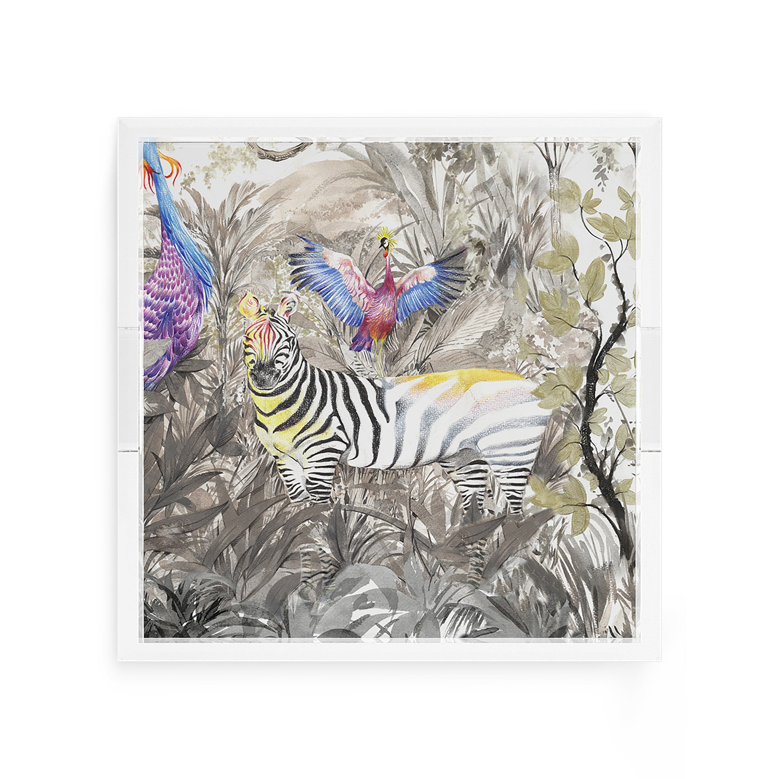 Arcadia Zebra 12X12 Acrylic Tray - nicolettemayer.com