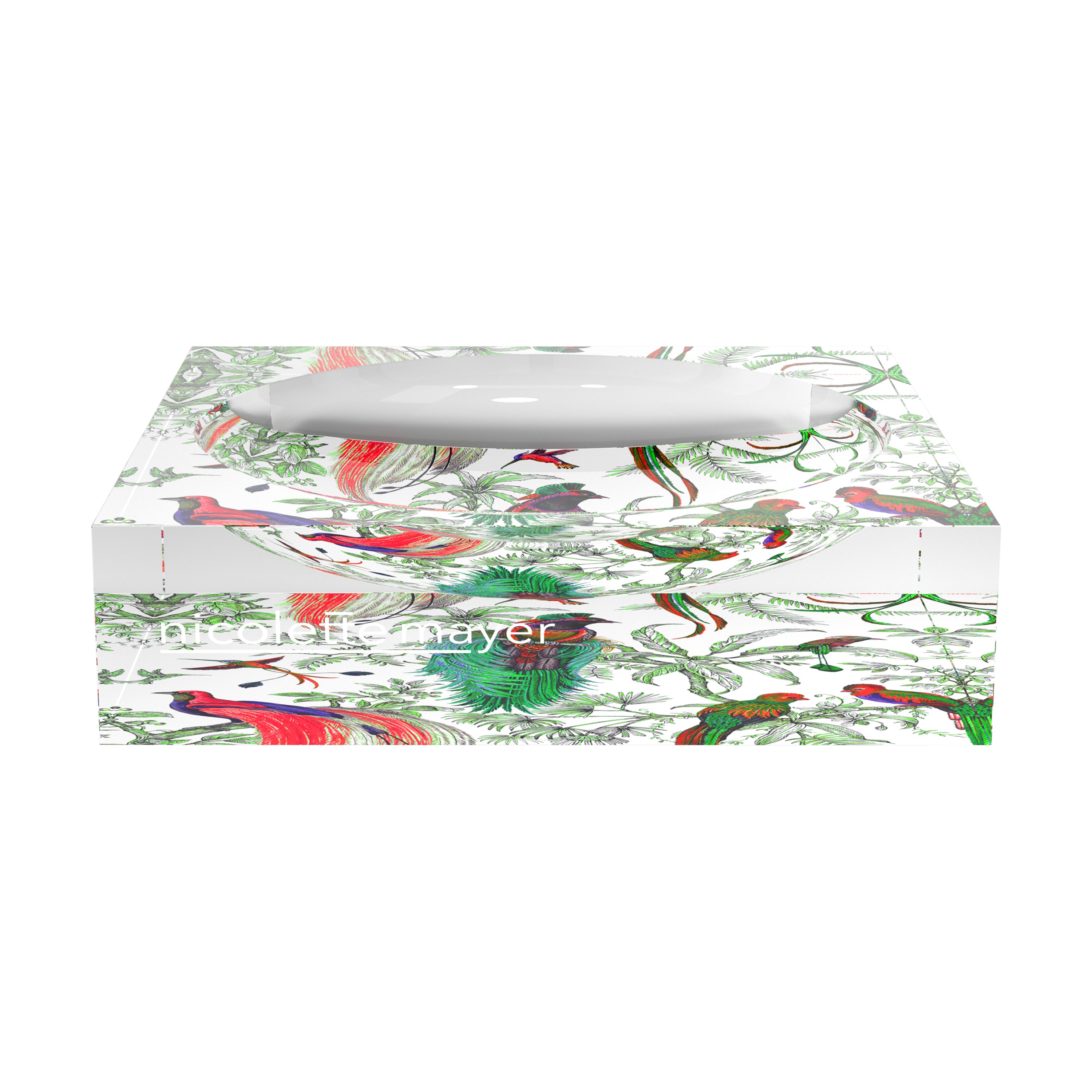 Audubon Exotica Green Persimmon Acrylic Candy Catchall Dish