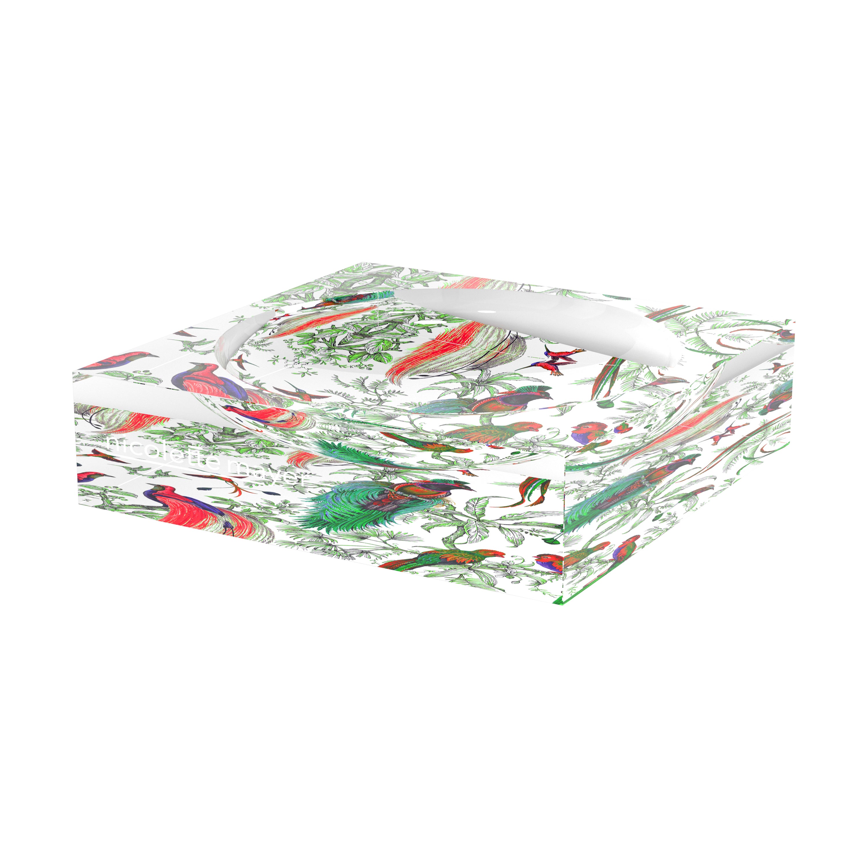 Audubon Exotica Green Persimmon Acrylic Candy Catchall Dish