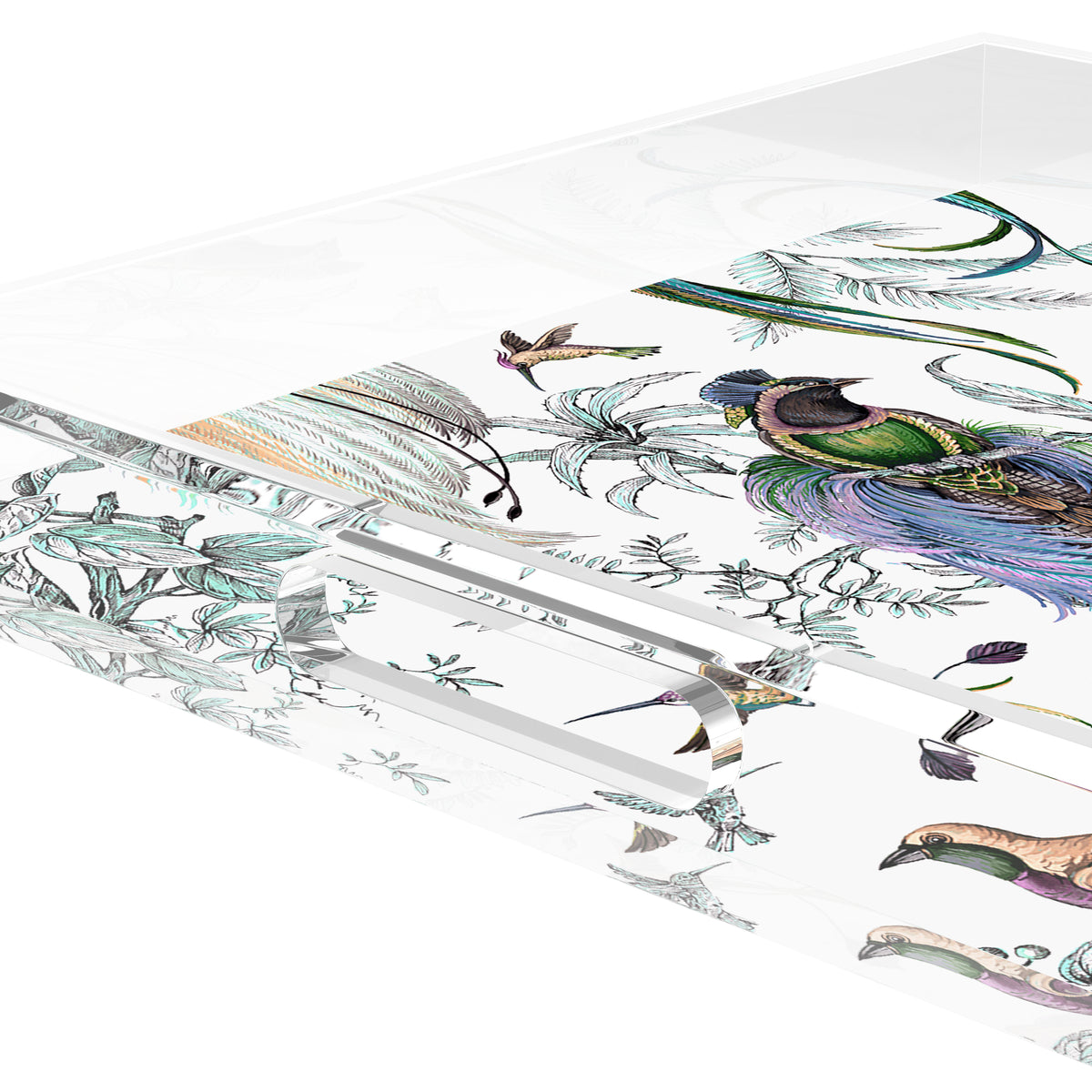 Audubon Exotica Blue Green Multi Acrylic Decorative Tray, 12 x 12 in. by Nicolette Mayer