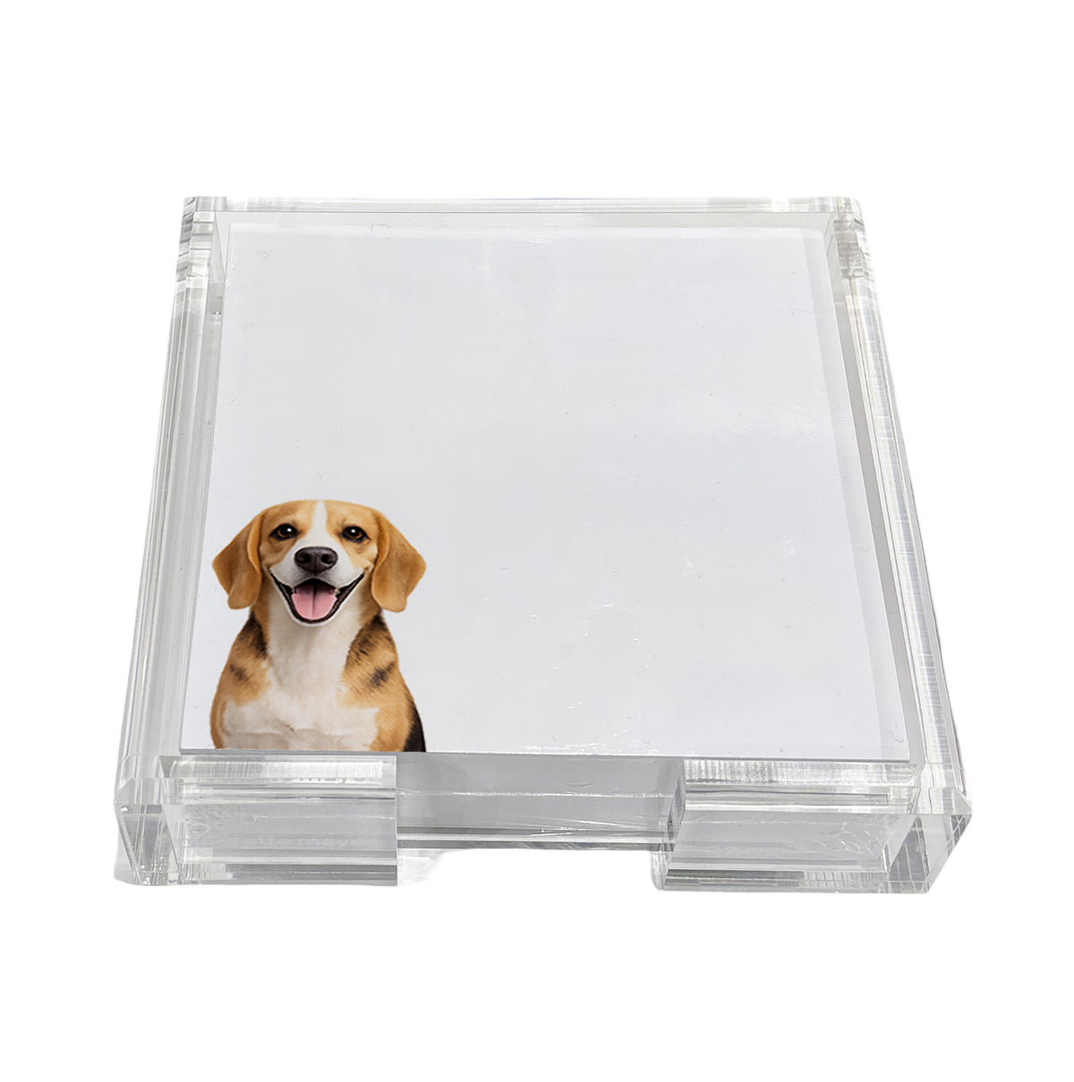 Beagle dog note cards in a clear acrylic holder by Nicolette Mayer