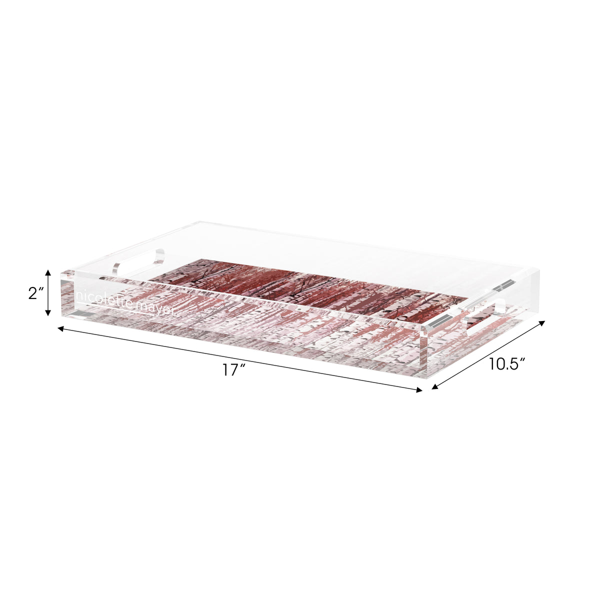 Birch Garnet Acrylic Decorative Tray, 17 x 10.5 in. by Nicolette Mayer