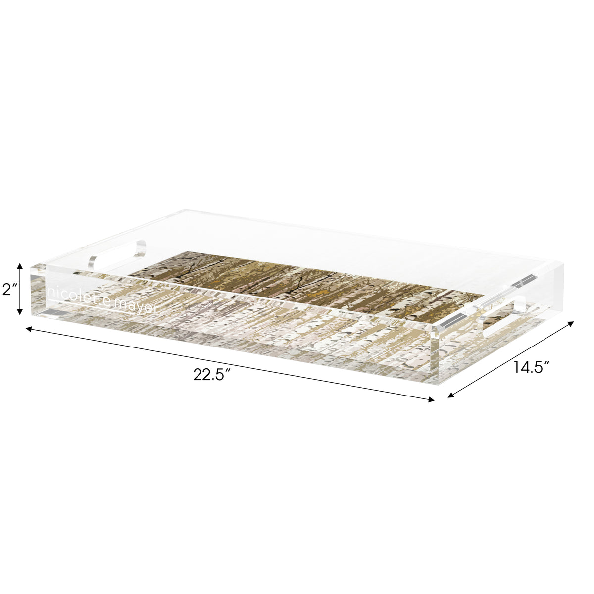 Birch Brown Acrylic Decorative Tray, 22.5 x 14. in. by Nicolette Mayer