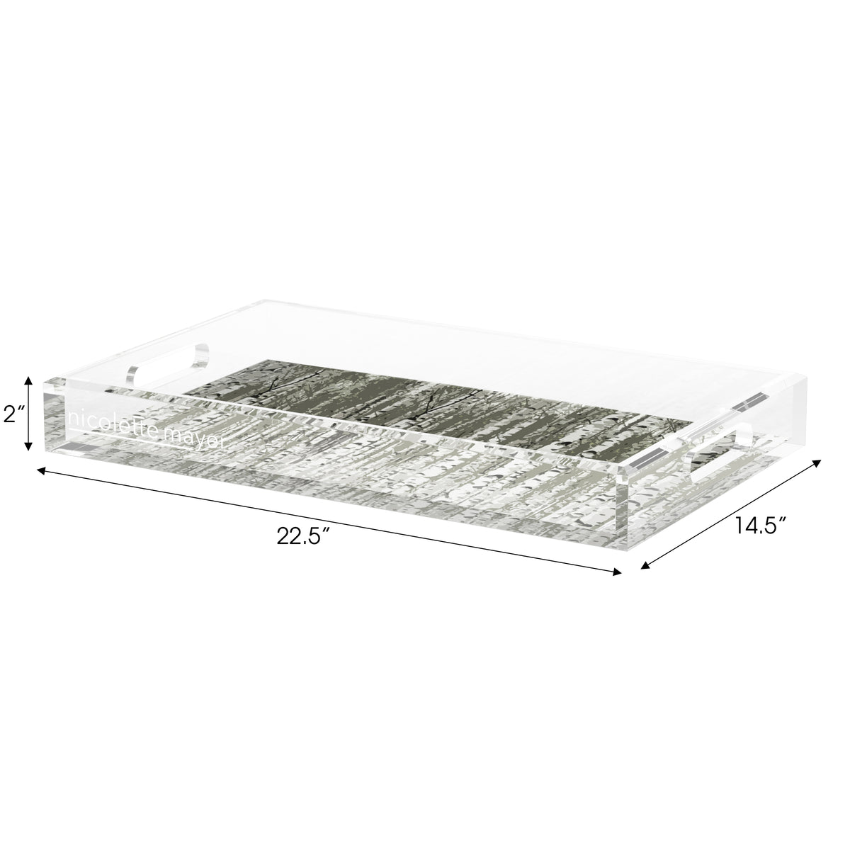 Birch Fawn Acrylic Decorative Tray, 22.5 x 14. in. by Nicolette Mayer