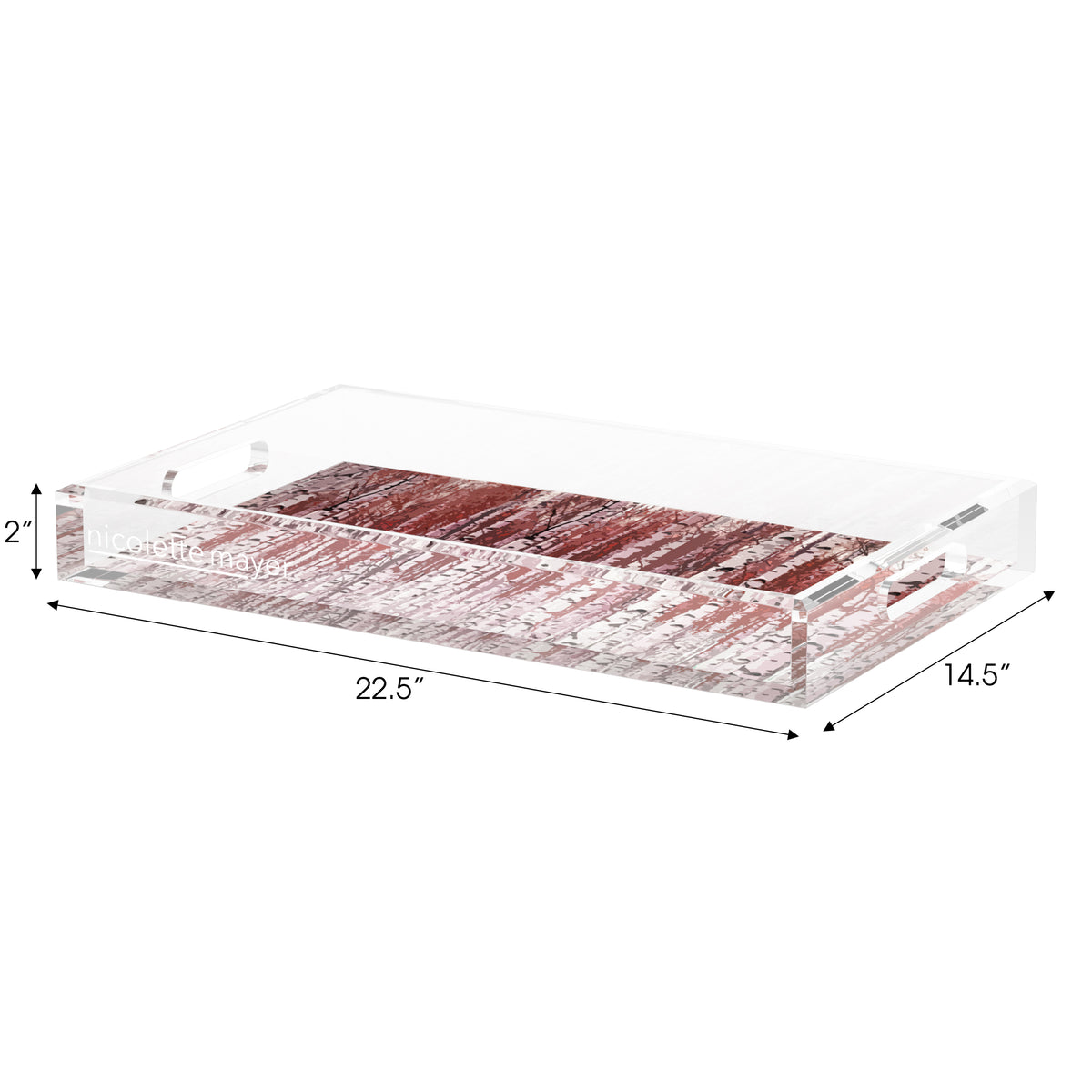 Birch Garnet Acrylic Decorative Tray, 22.5 x 14. in. by Nicolette Mayer
