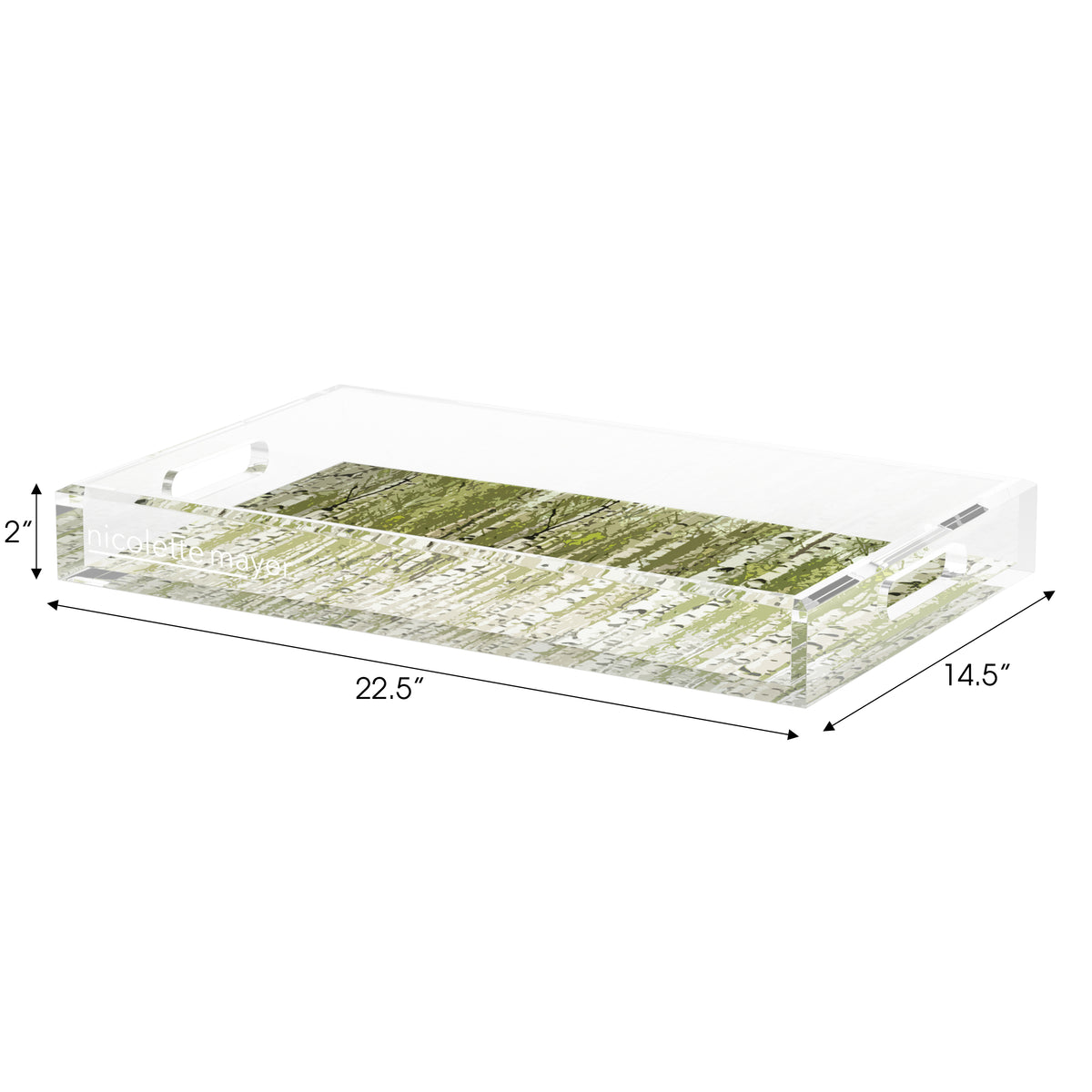Birch Forest Green Acrylic Decorative Tray, 22.5 x 14. in. by Nicolette Mayer