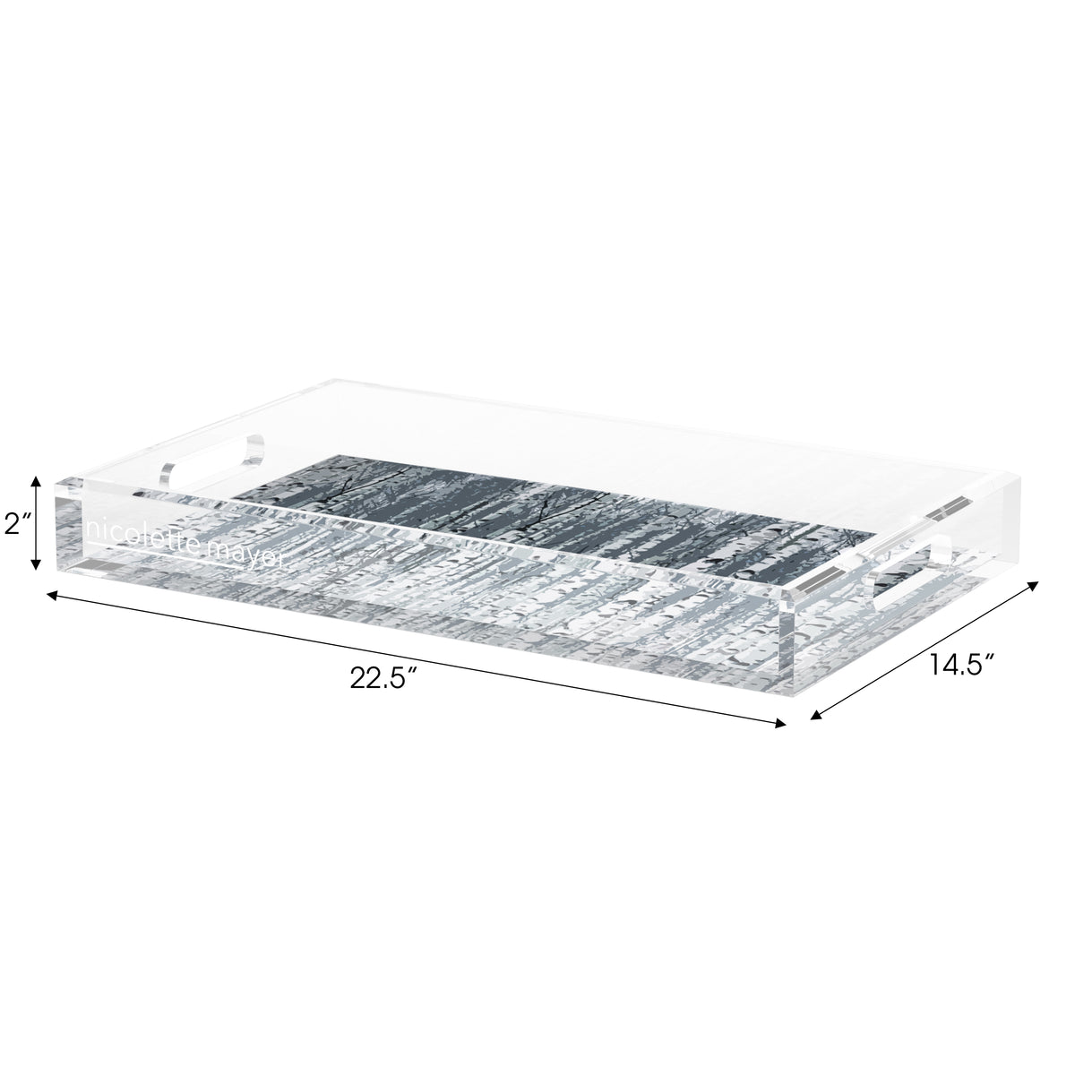 Birch Indigo Acrylic Decorative Tray, 22.5 x 14. in. by Nicolette Mayer