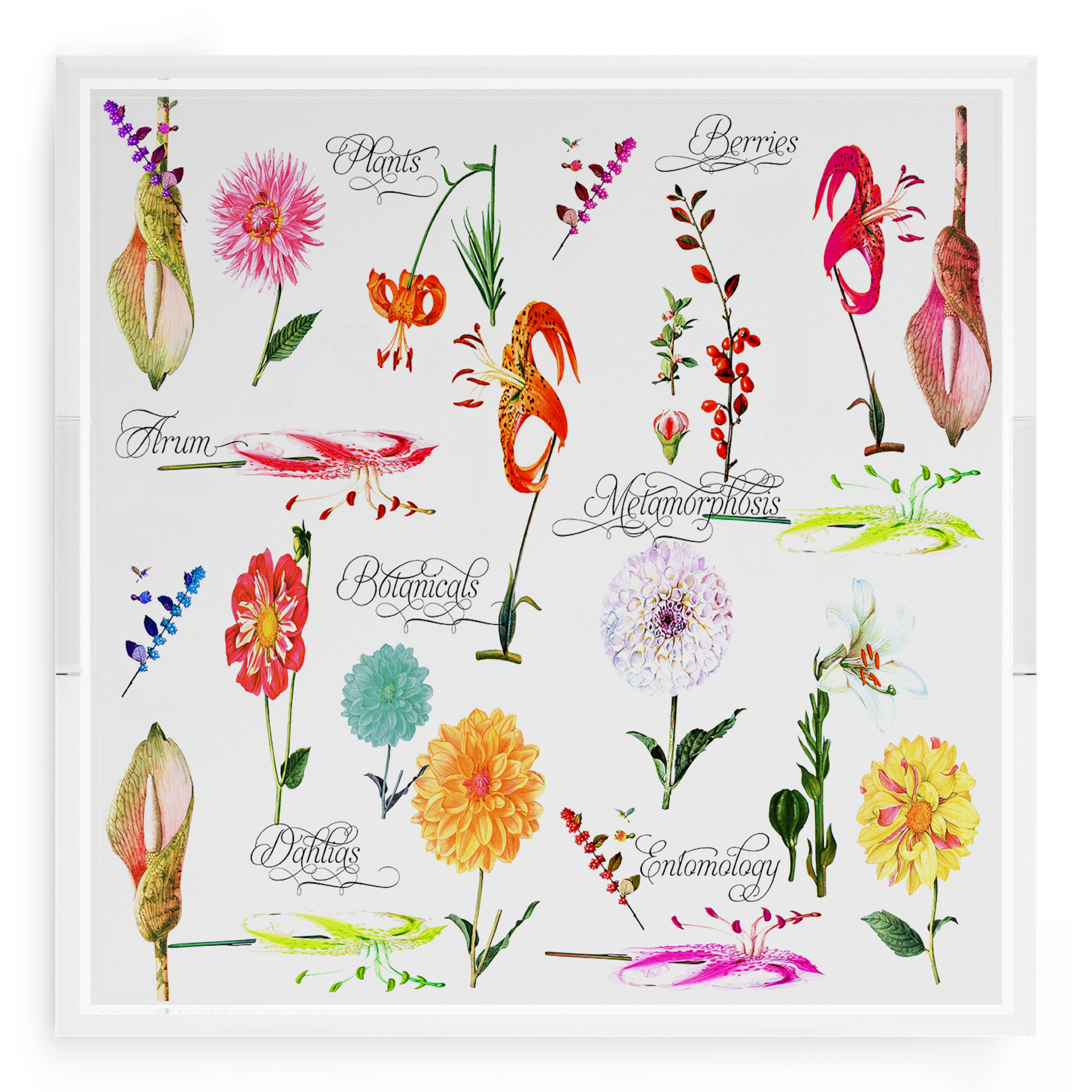 Botanicals White 18X18 Acrylic Tray - nicolettemayer.com