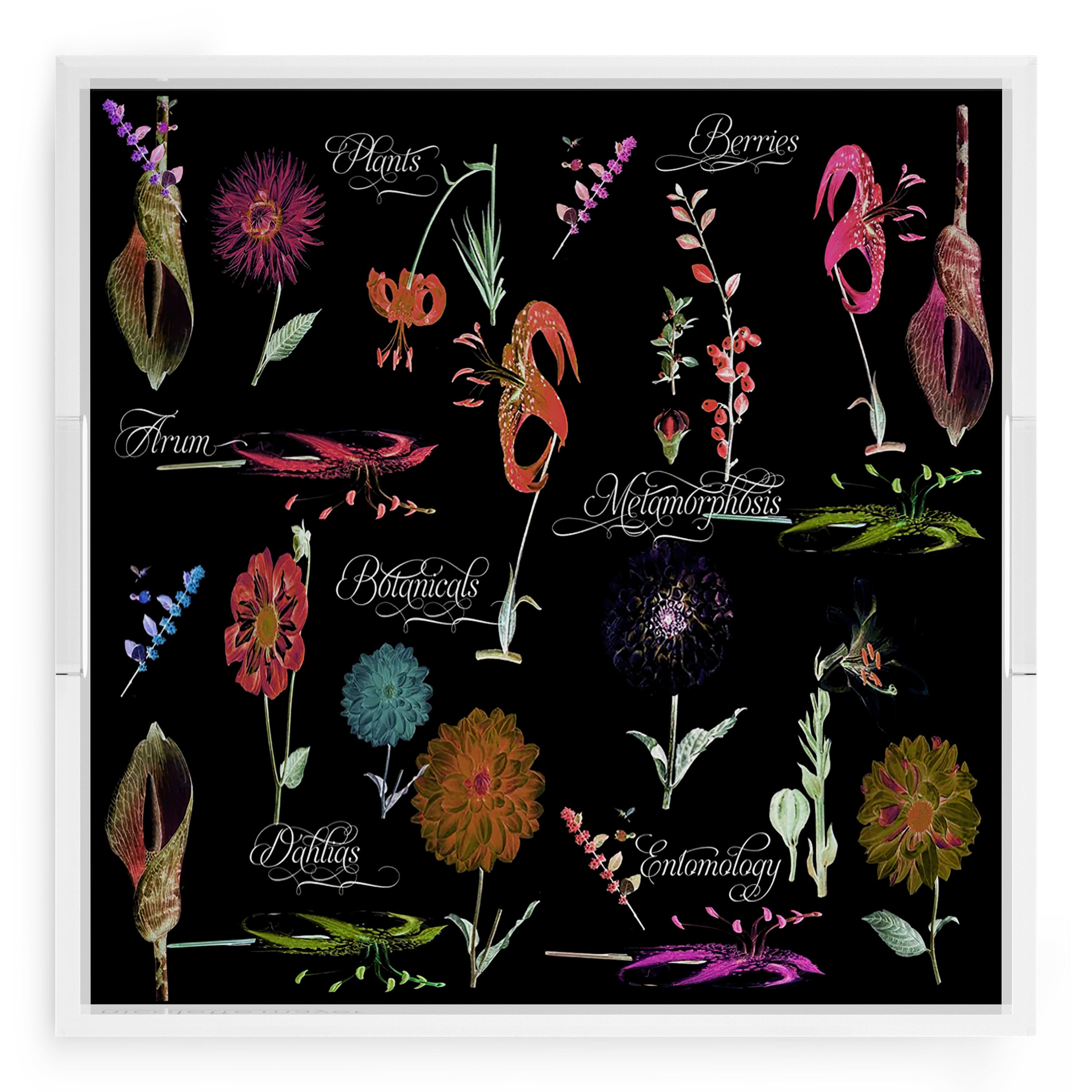 Botanicals Xray Reds 18X18 Acrylic Tray - nicolettemayer.com