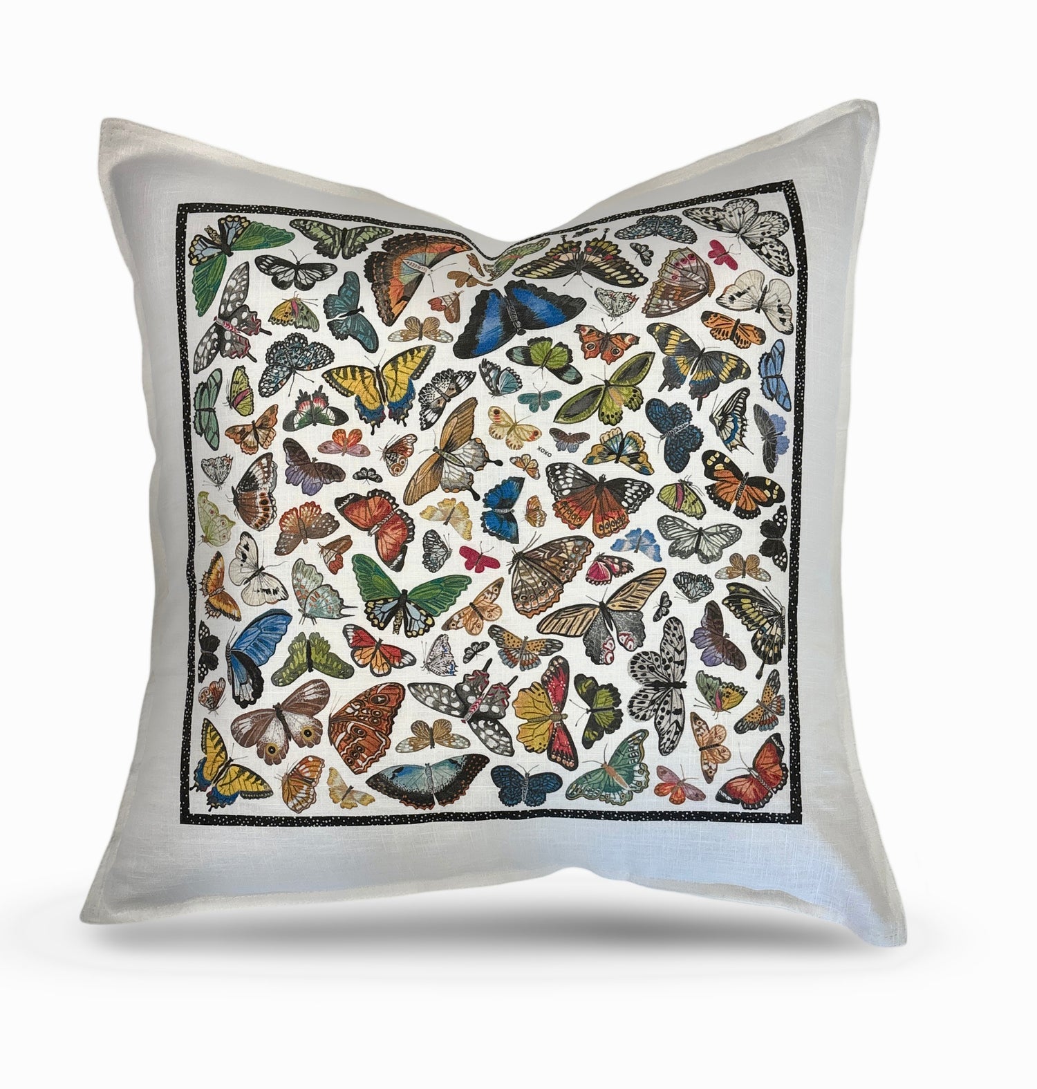 Butterflies XOXO 22x22 White Flange Pillow