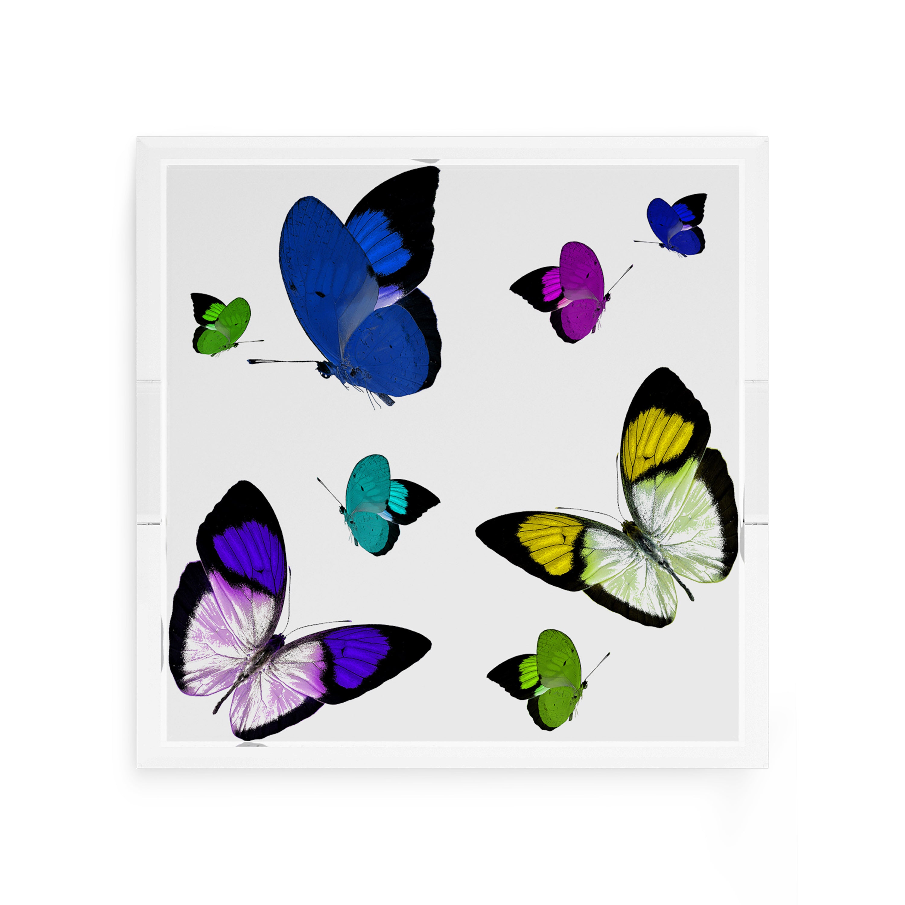 Butterflies Acid Blue 12X12 Acrylic Tray - nicolettemayer.com