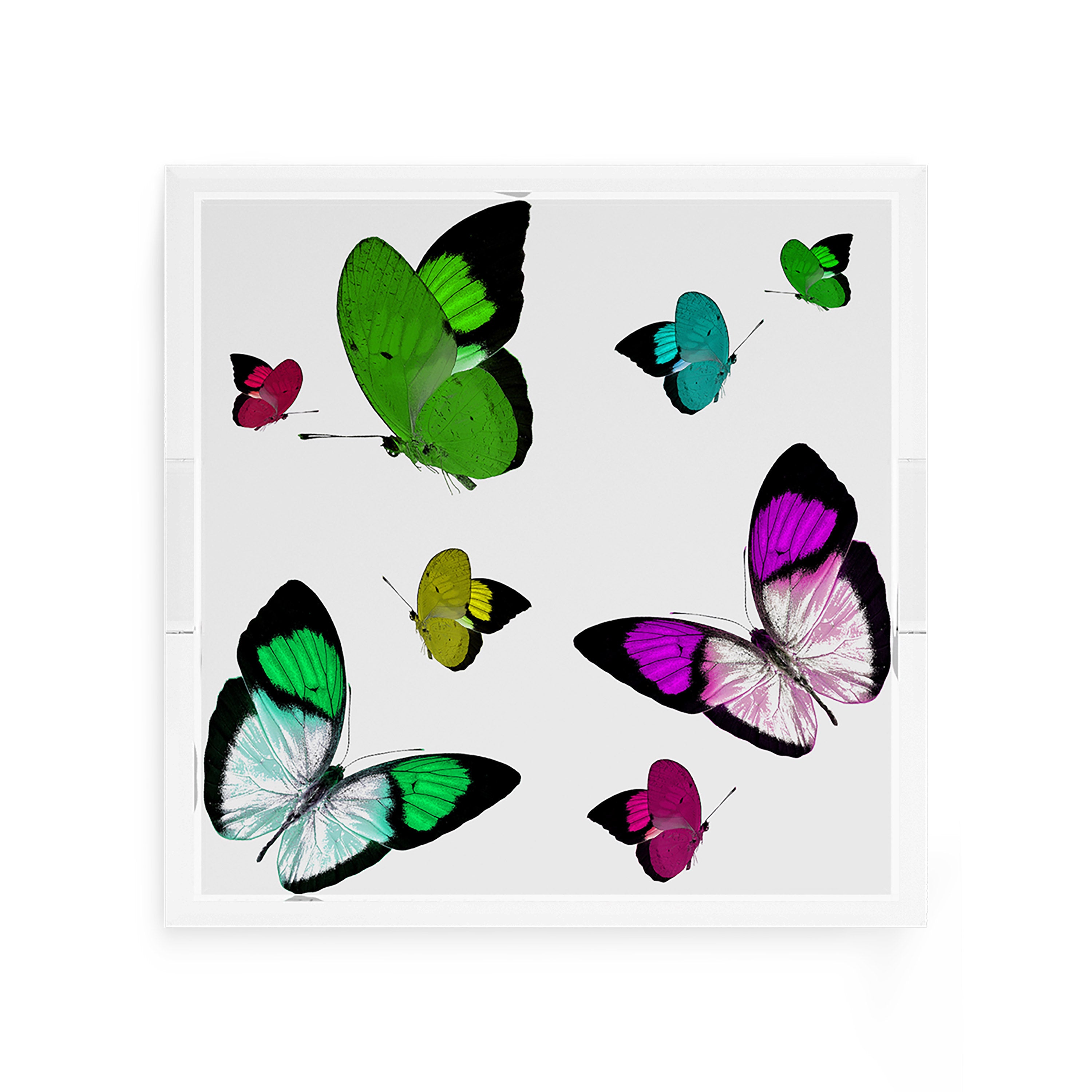 Butterflies Acid Green 12X12 Acrylic Tray - nicolettemayer.com