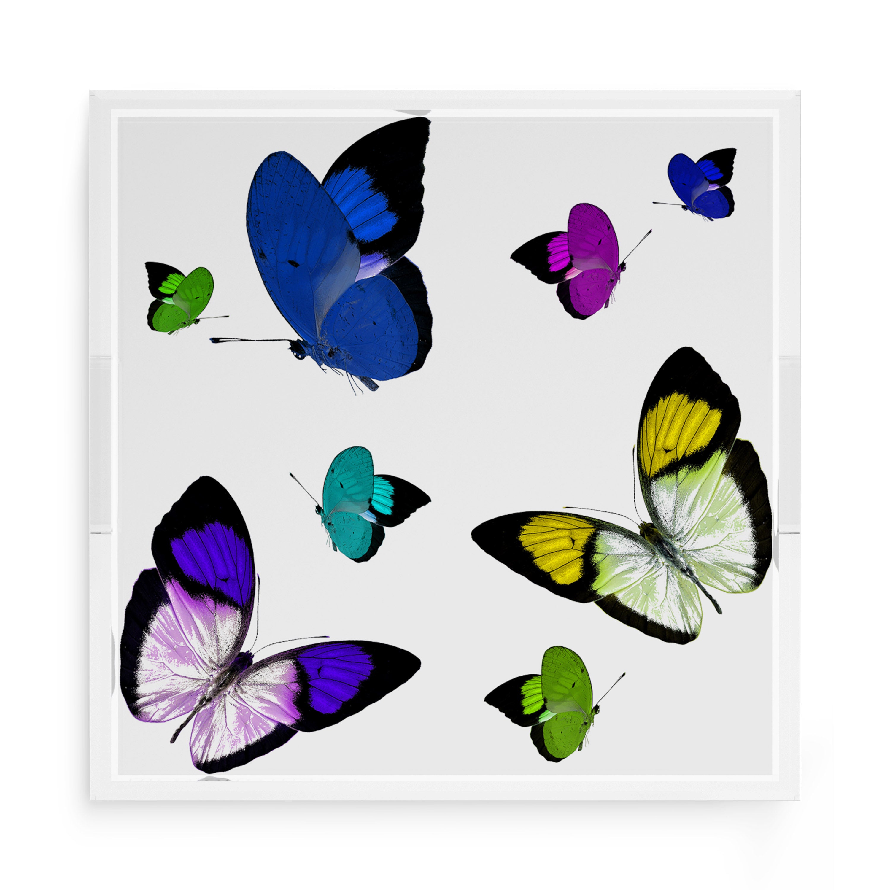 Butterflies Acid Blue 15X15 Acrylic Tray - nicolettemayer.com