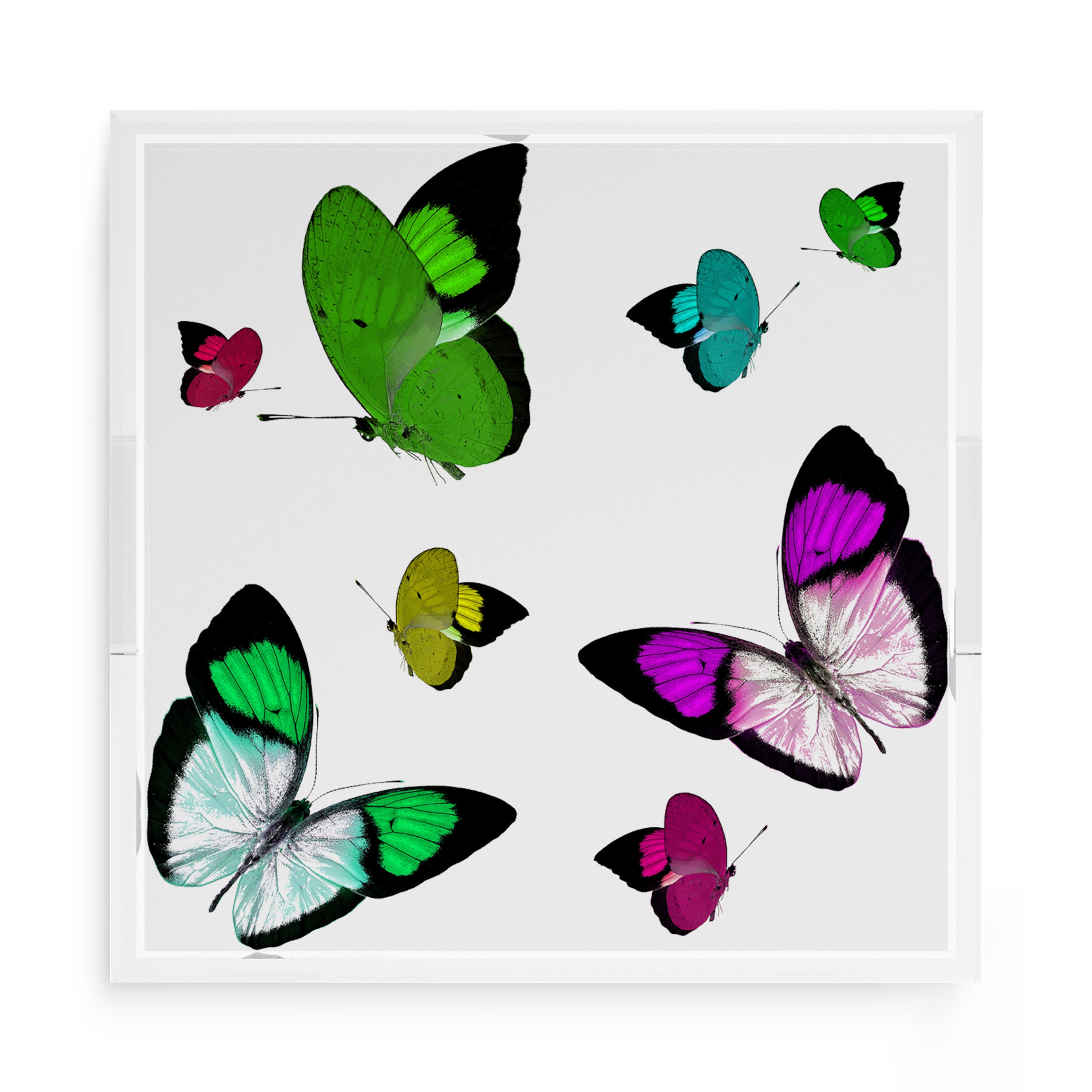Butterflies Acid Green 15X15 Acrylic Tray - nicolettemayer.com