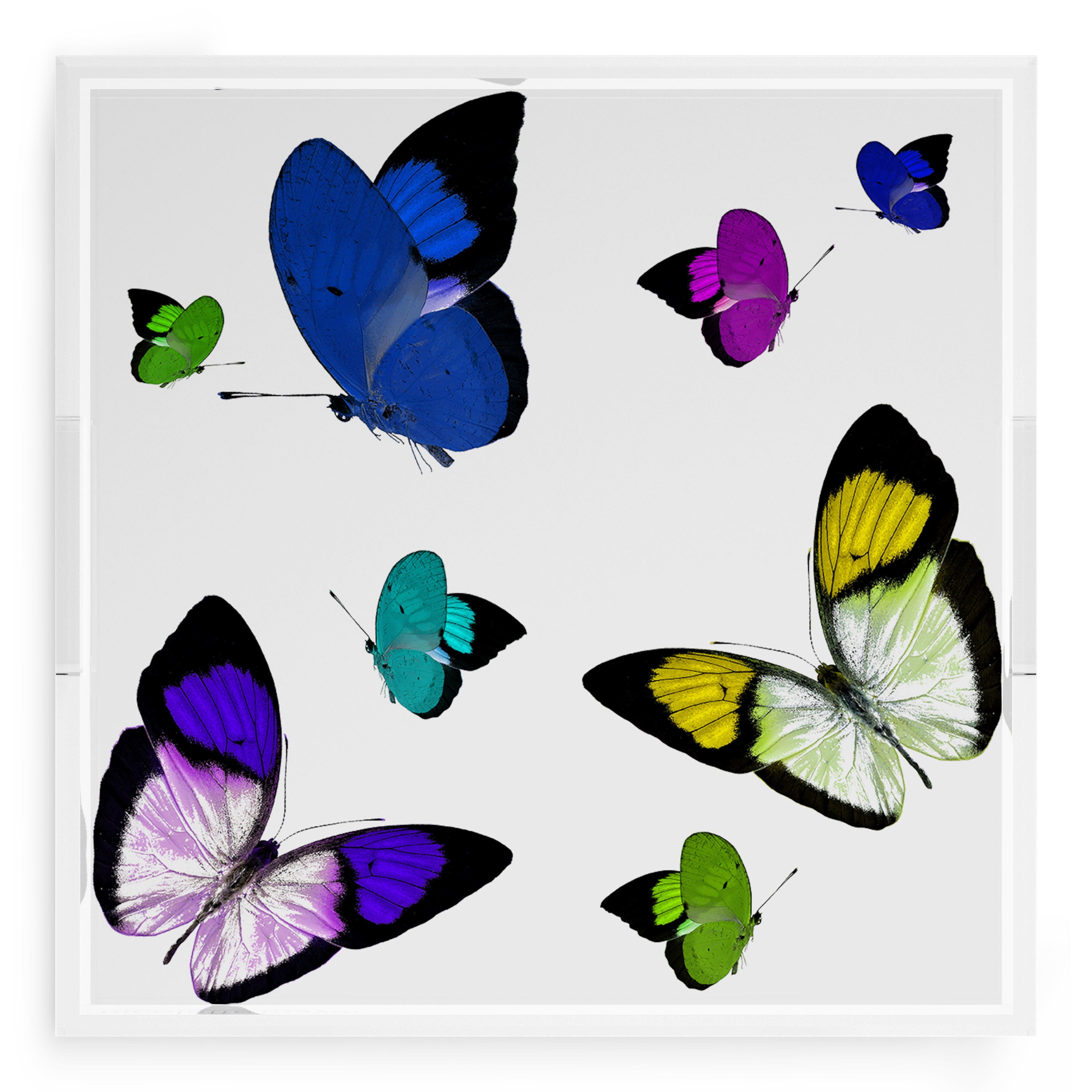 Butterflies Acid Blue 18X18 Acrylic Tray - nicolettemayer.com