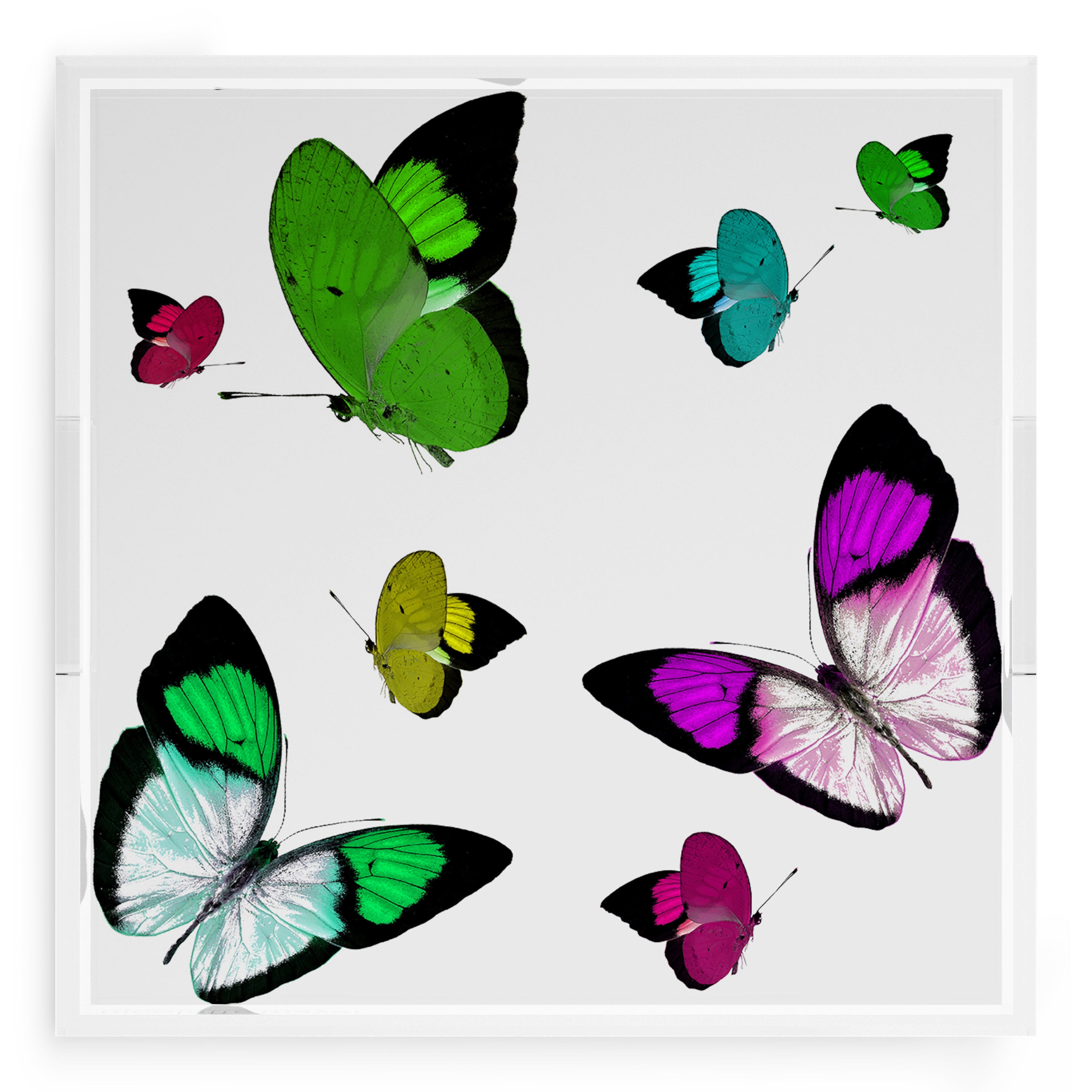 Butterflies Acid Green 18X18 Acrylic Tray - nicolettemayer.com