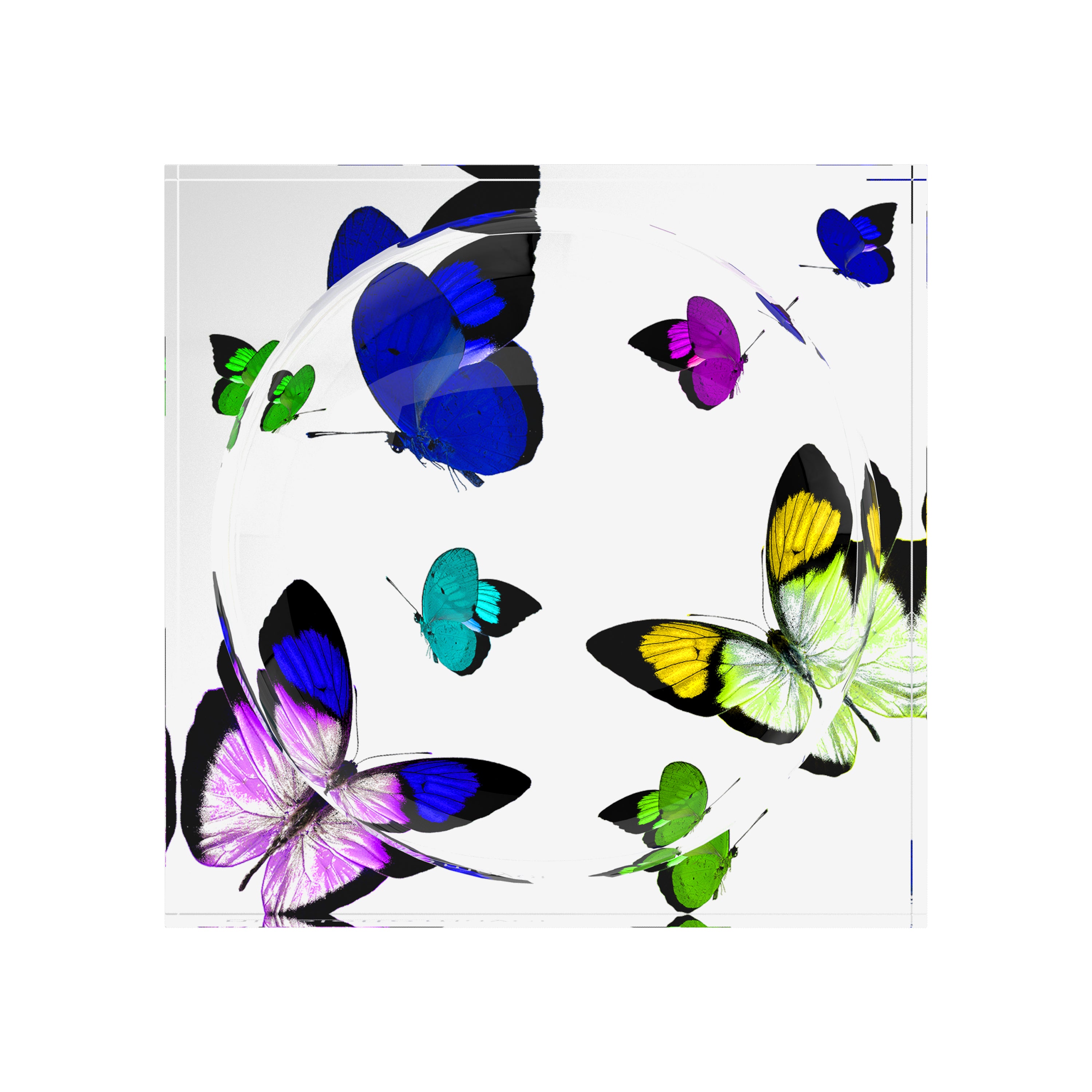 Butterflies Acid Blue Acrylic Candy Catchall Dish - nicolettemayer.com