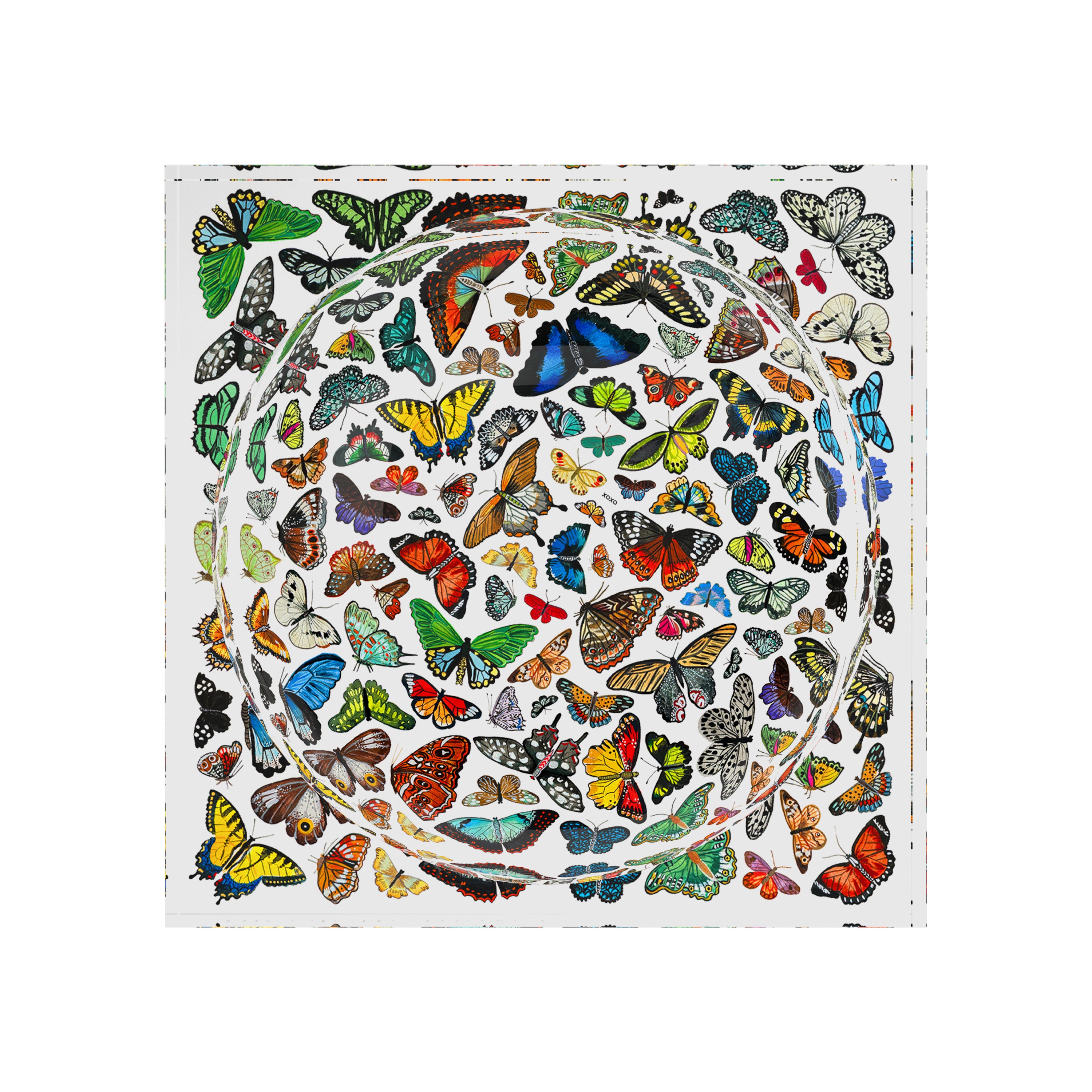 Butterflies XOXO Acrylic Candy Catchall Dish