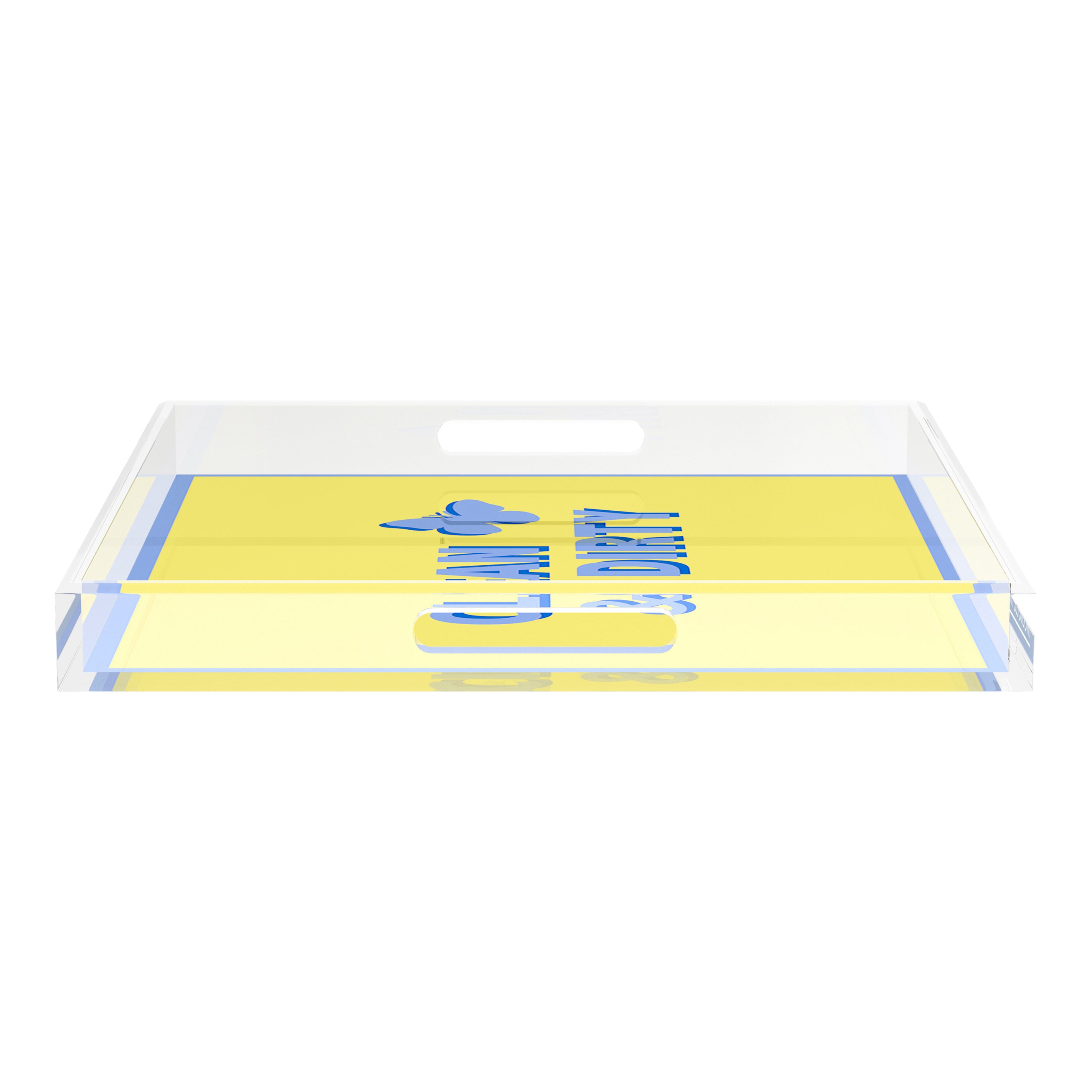 Canasta Clean and Dirty Blue Butter 18X18 Acrylic Tray - nicolettemayer.com