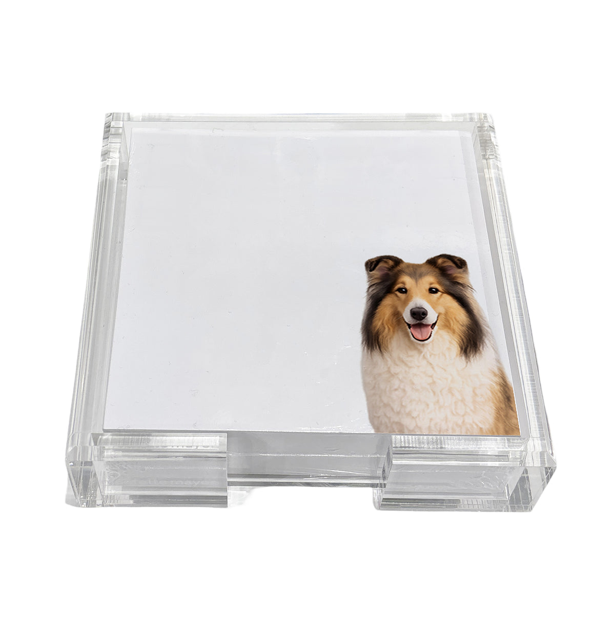 Collie dog note cards in a clear acrylic holder by Nicolette Mayer