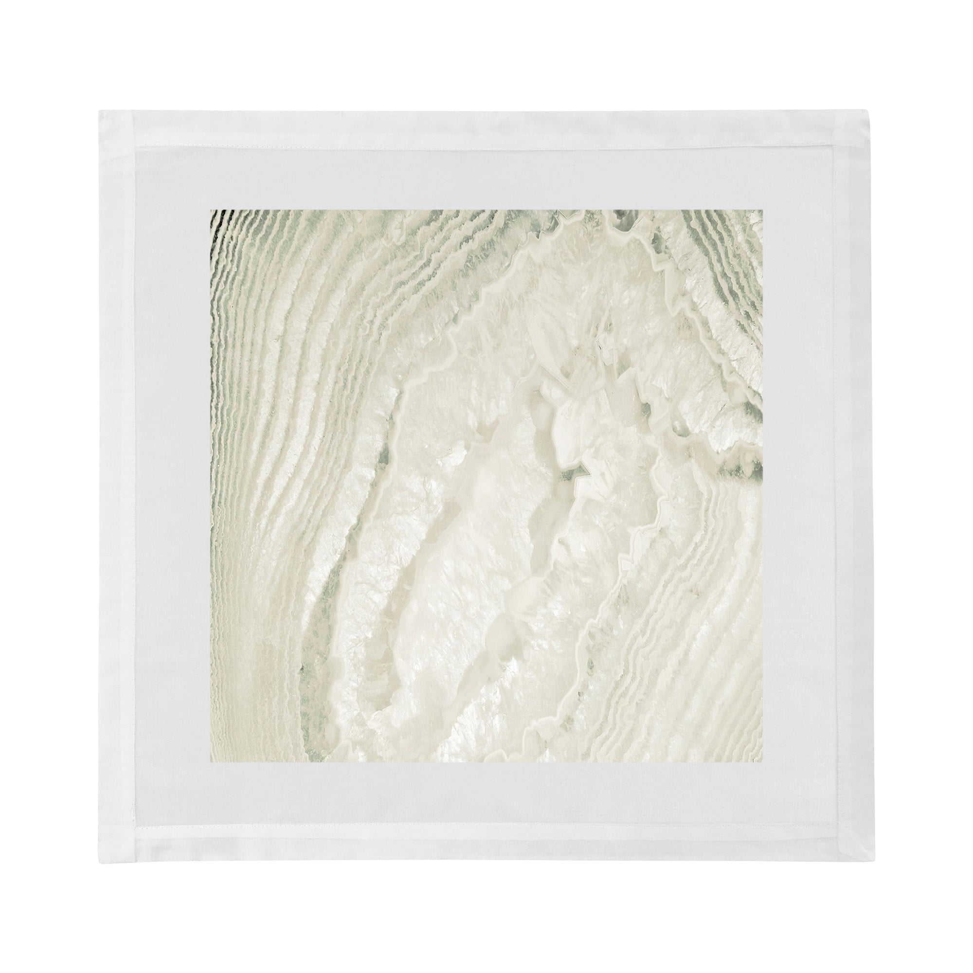 Crystal Champagne Cotton Sateen Dinner Napkins - nicolettemayer.com