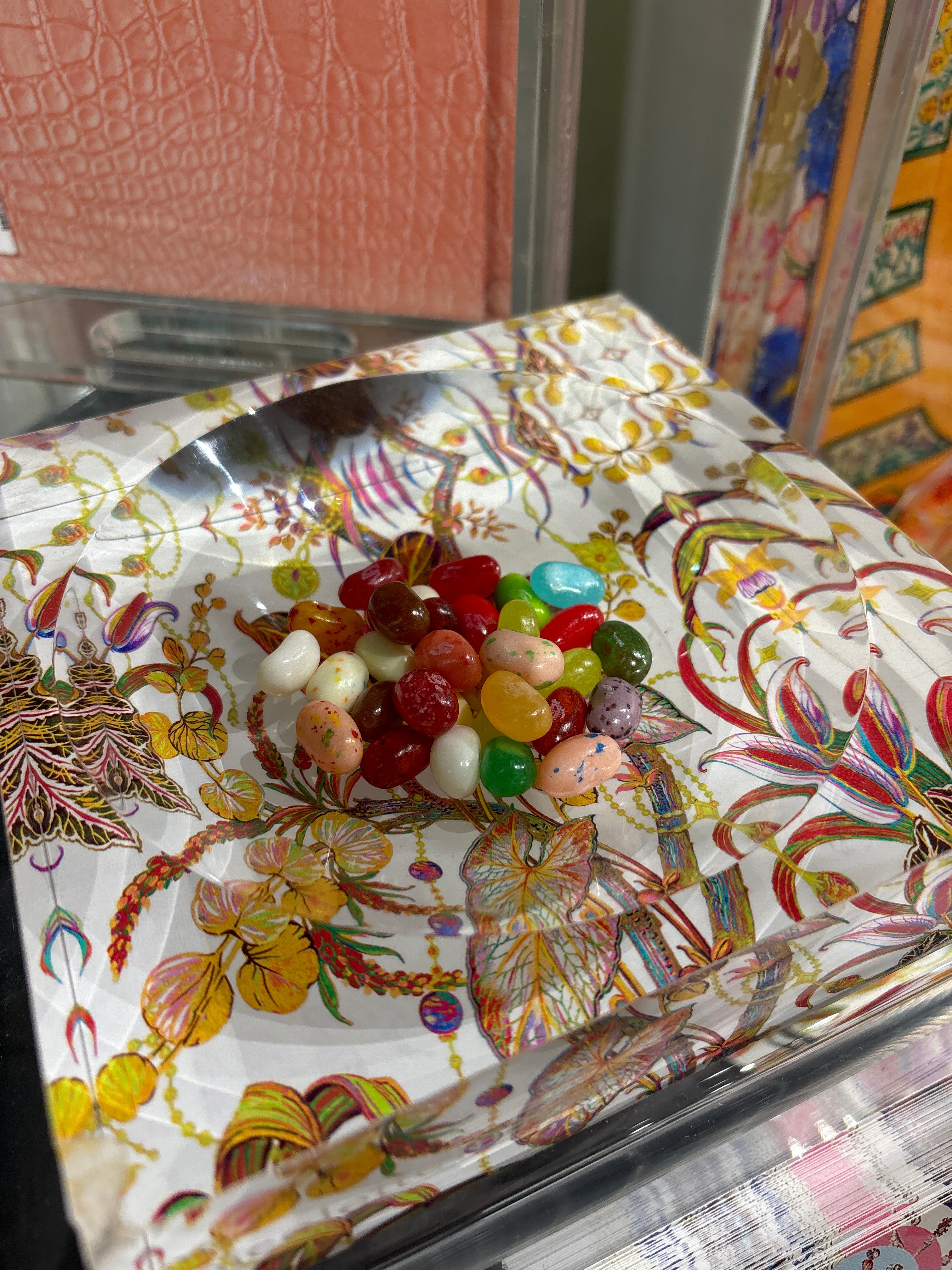 Amazonia Splendor Acrylic Candy Catchall Dish - nicolettemayer.com