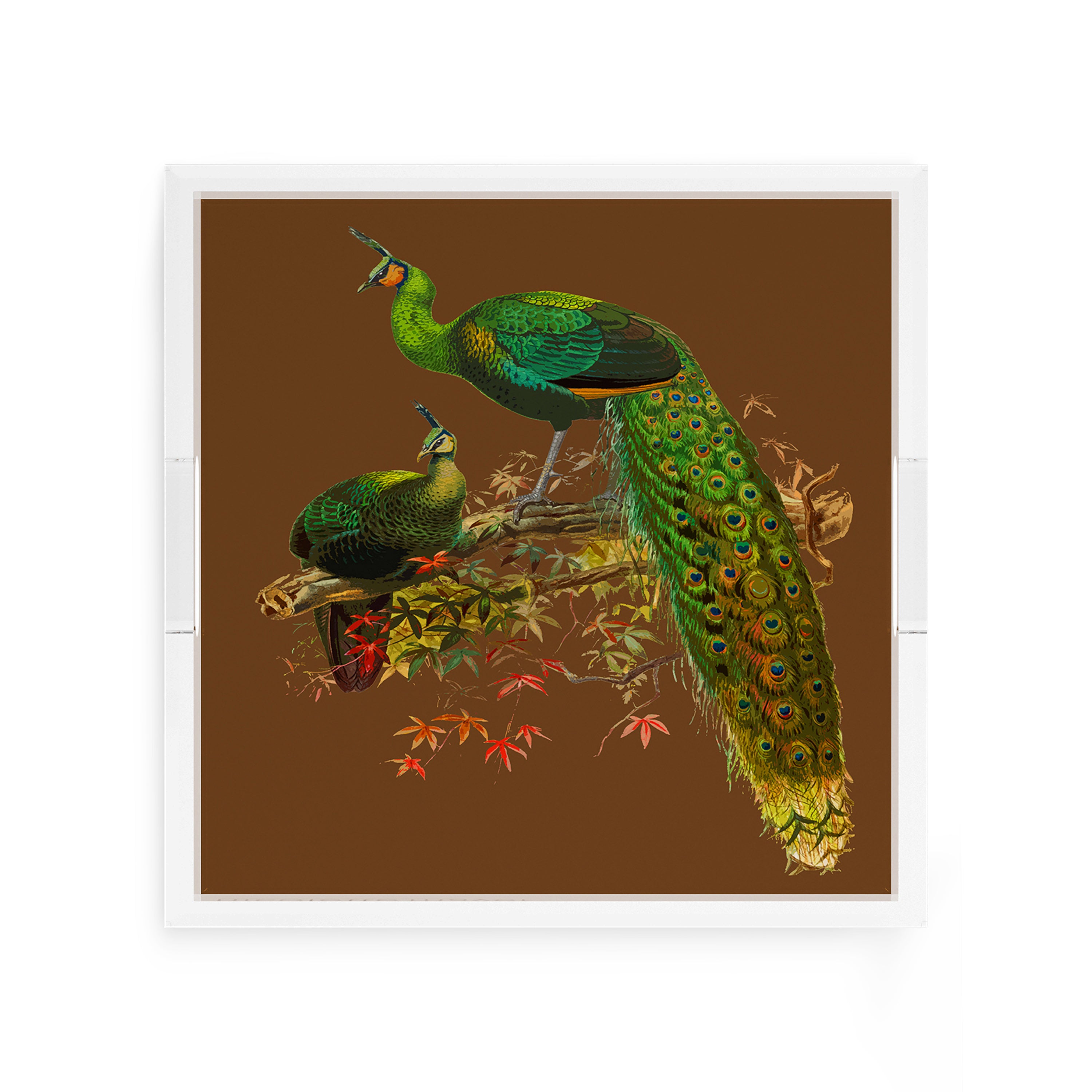 Family Pheasants Brown 12X12 Acrylic Tray - nicolettemayer.com