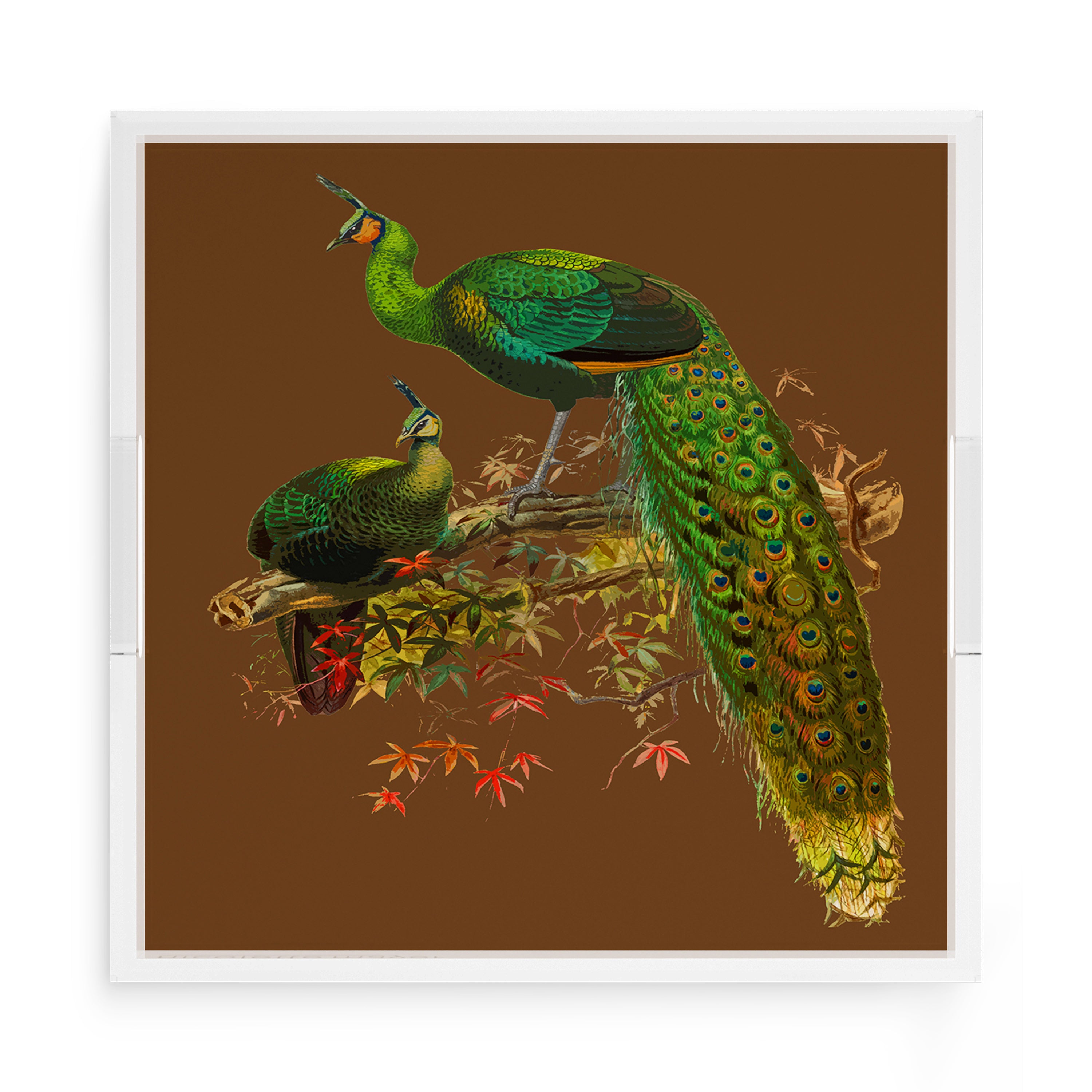 Family Pheasants Brown 15X15 Acrylic Tray - nicolettemayer.com