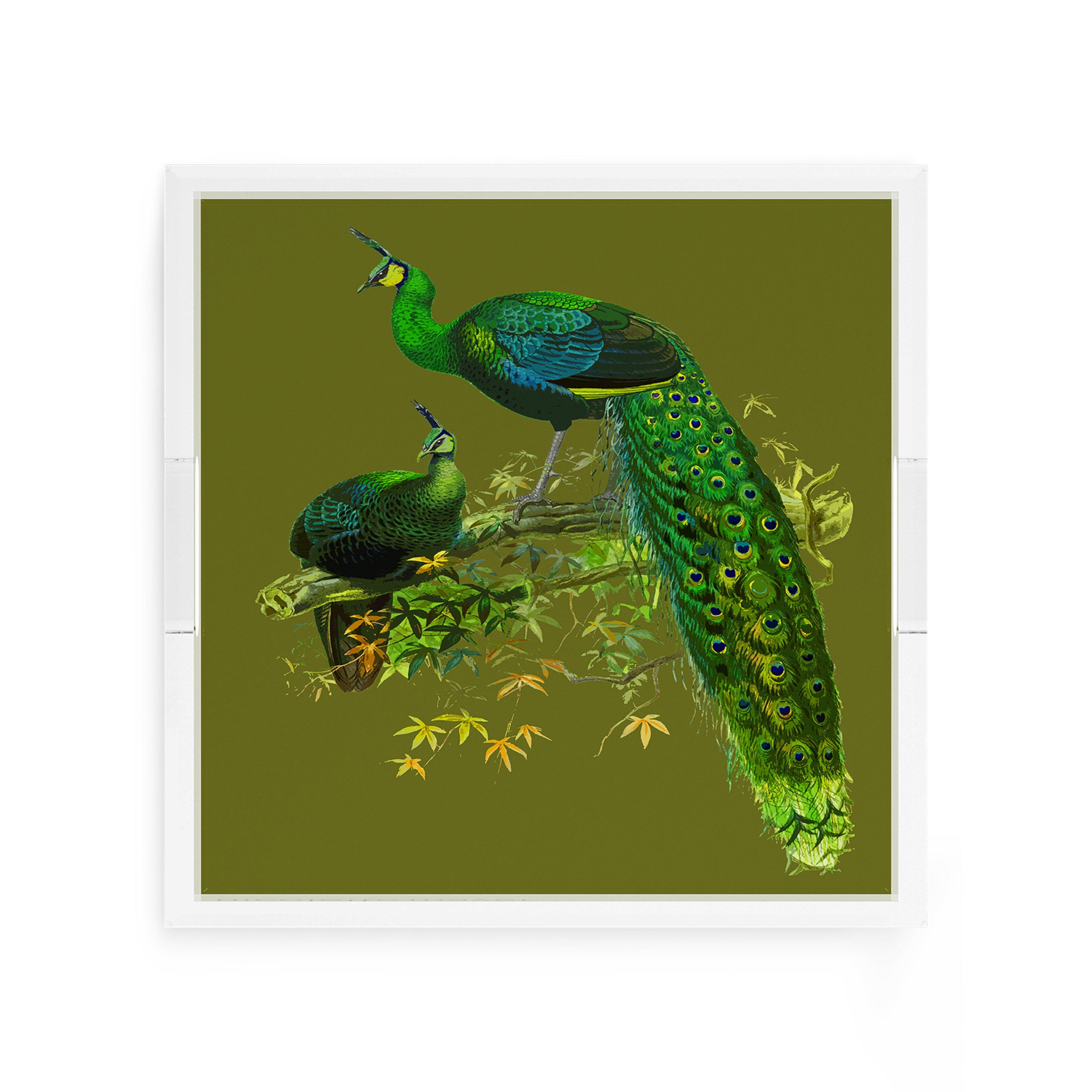Family Pheasants Olive 12X12 Acrylic Tray - nicolettemayer.com