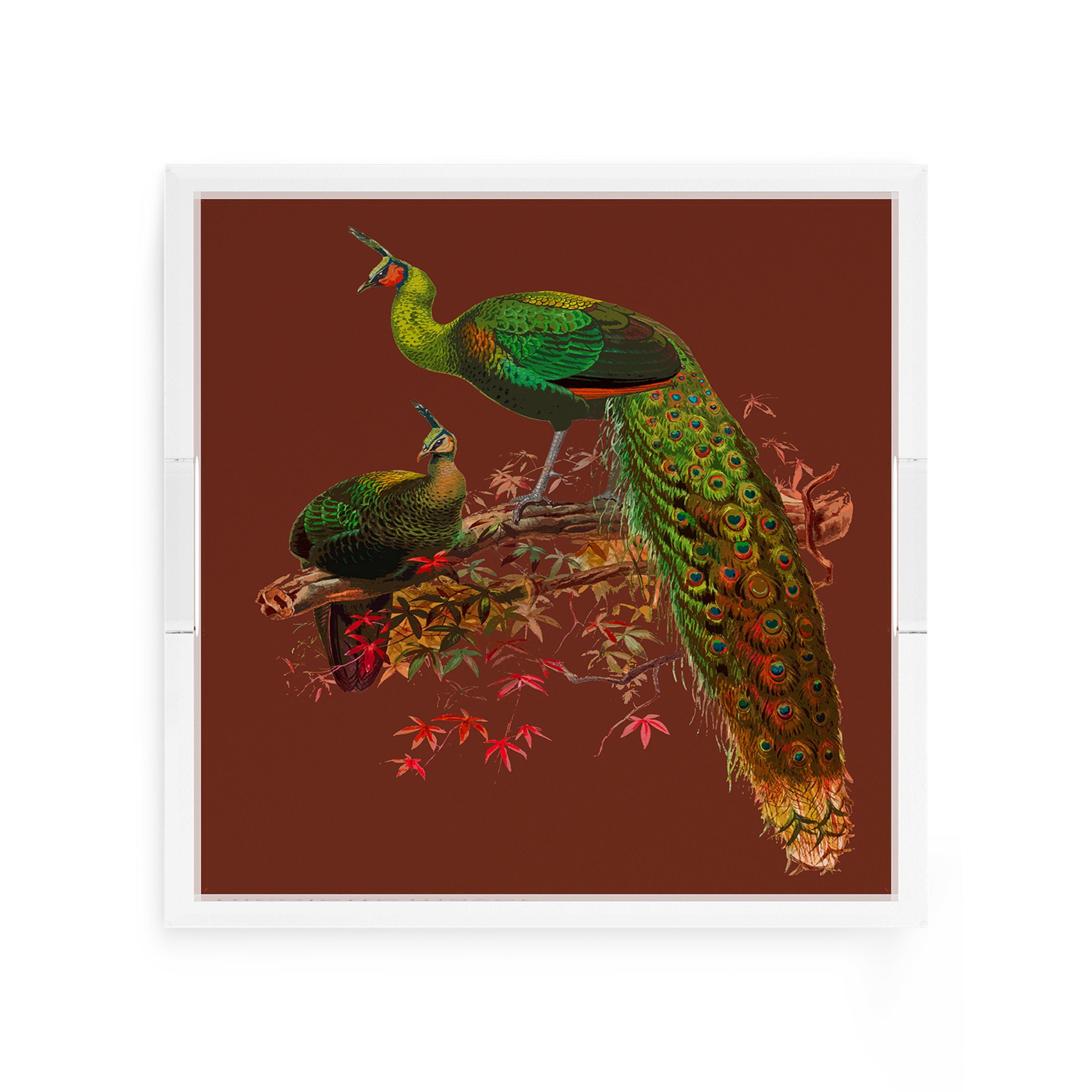 Family Pheasants Rust 12X12 Acrylic Tray - nicolettemayer.com