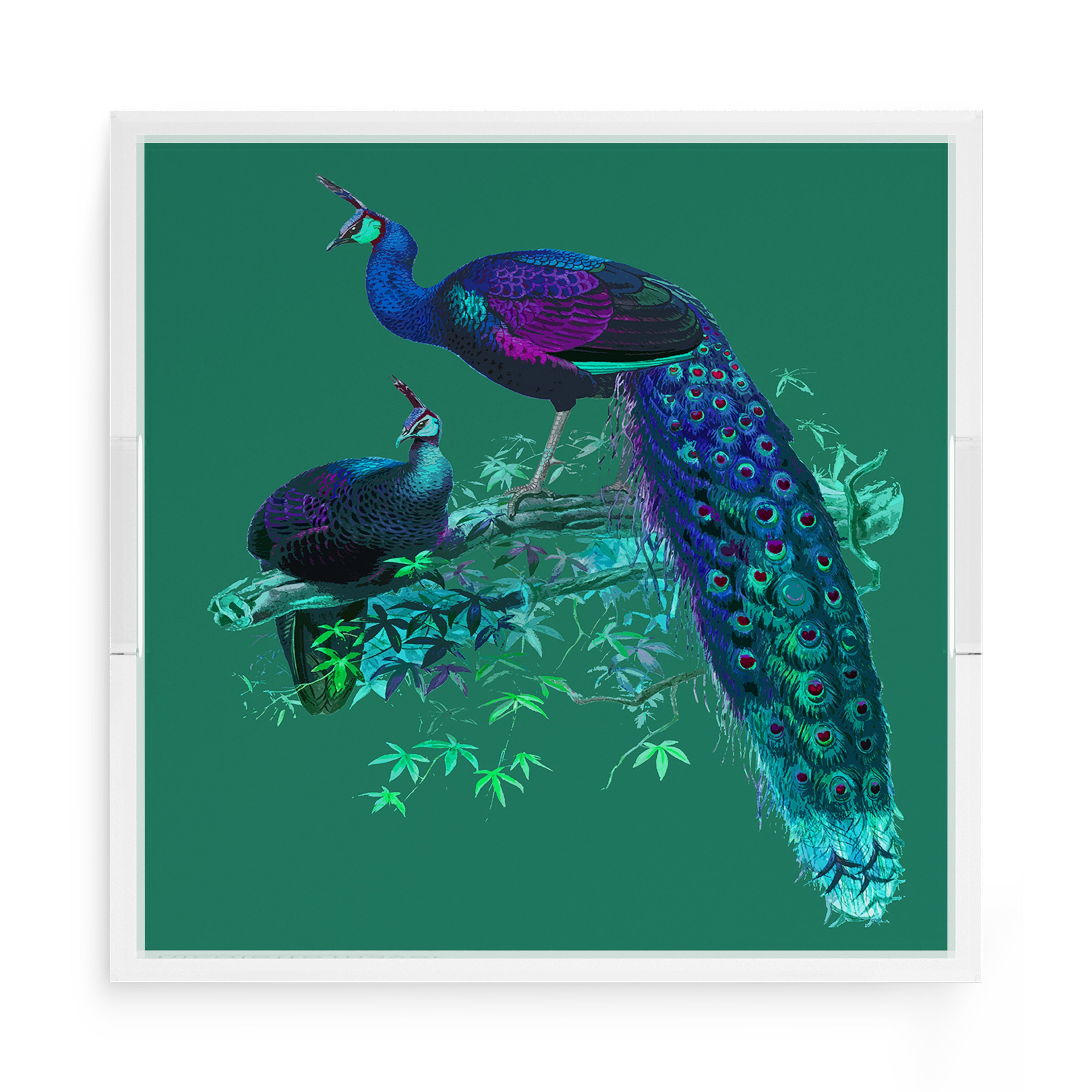 Family Pheasants Peacock 15X15 Acrylic Tray - nicolettemayer.com