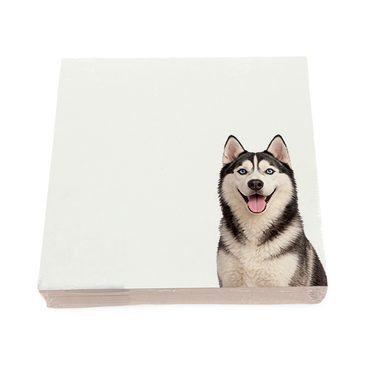 Husky dog note cards by Nicolette Mayer, set of 100