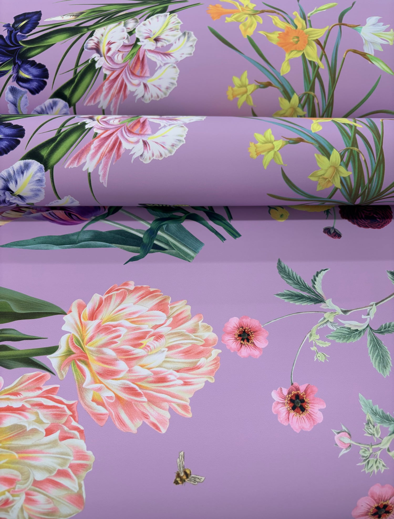 Flora & Fauna Orchid Wallpaper