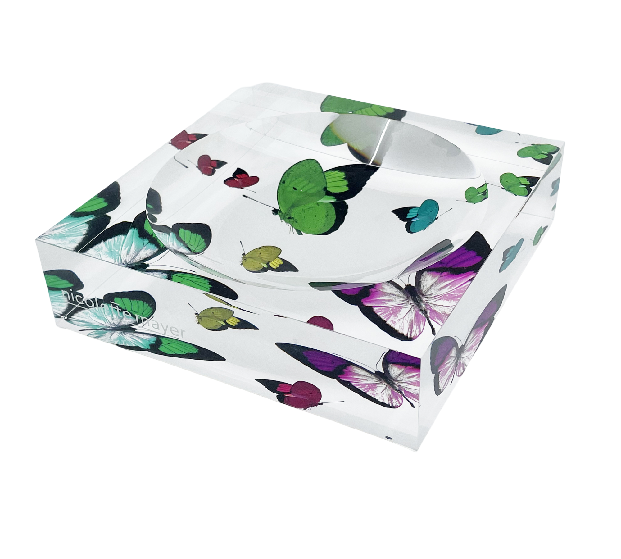 Butterflies Acid Green Acrylic Candy Catchall Dish