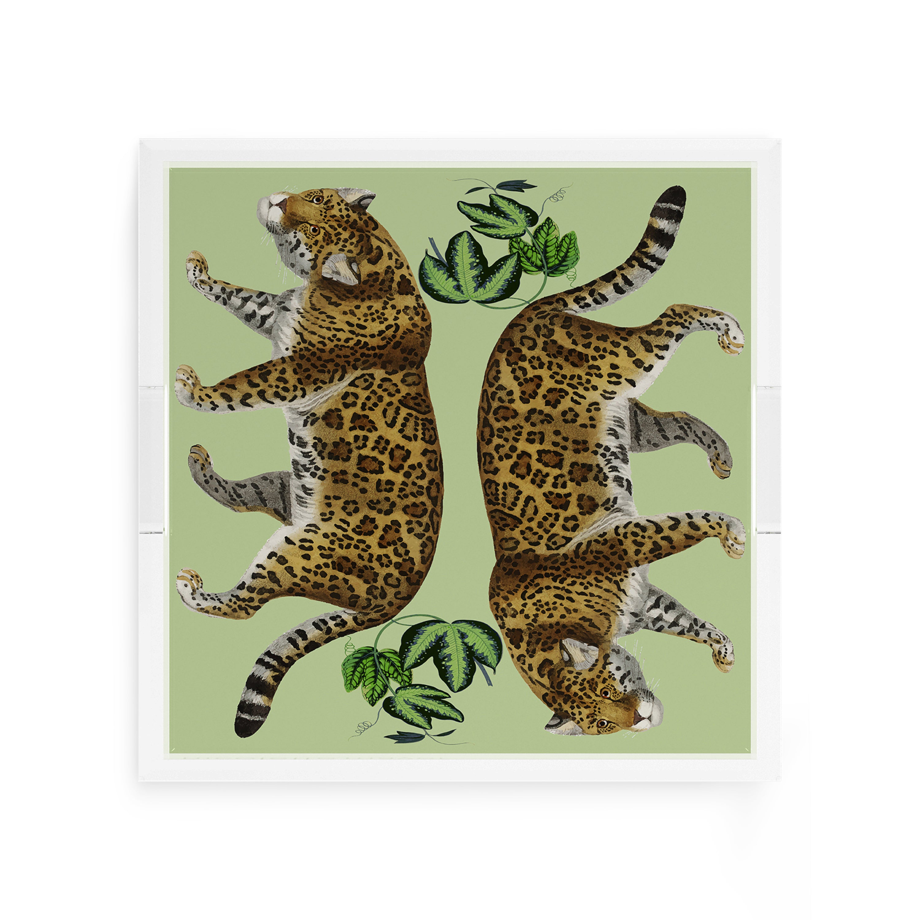 Leopard Seeing Double Avocado 12X12 Acrylic Tray - nicolettemayer.com