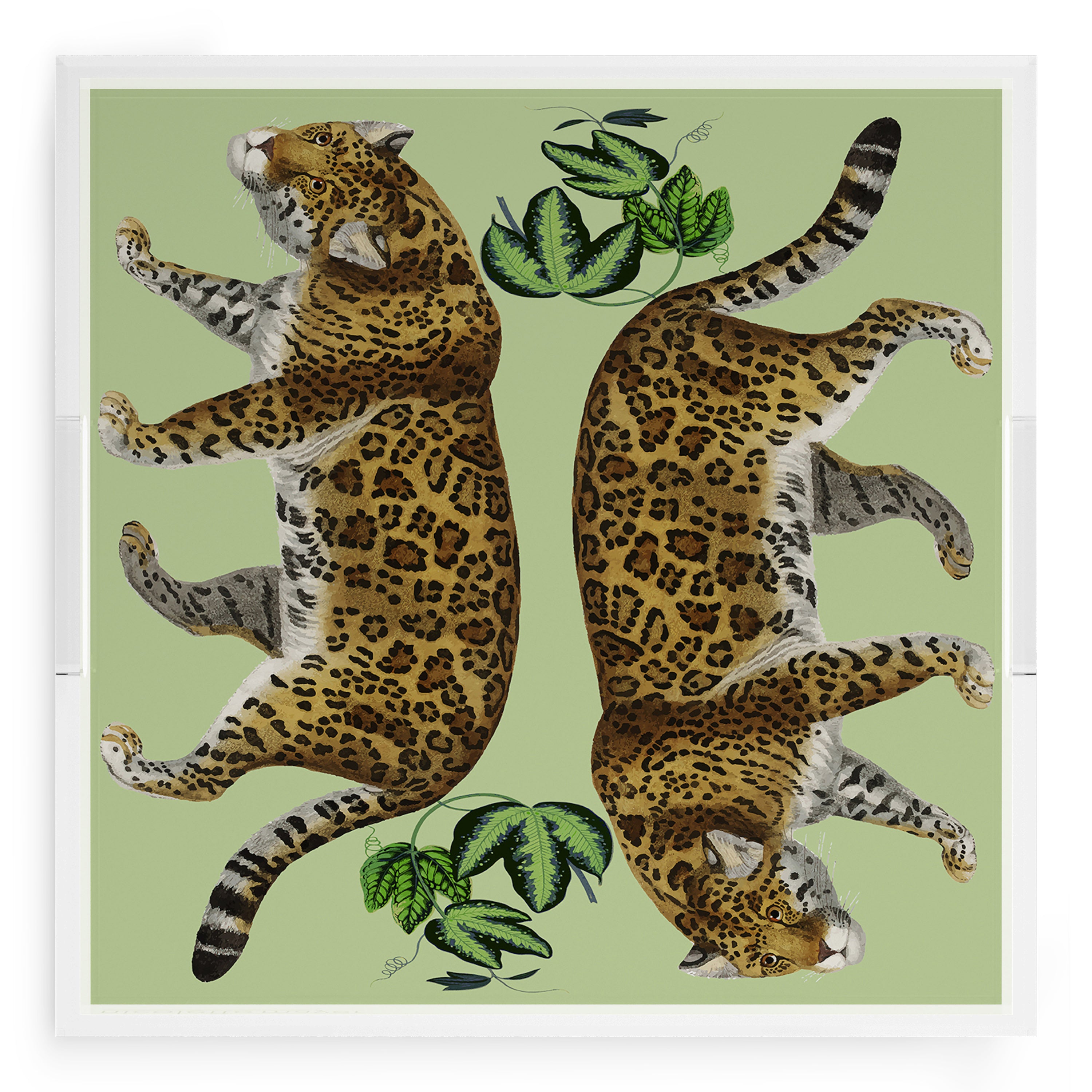 Leopard Seeing Double Avocado 18X18 Acrylic Tray - nicolettemayer.com