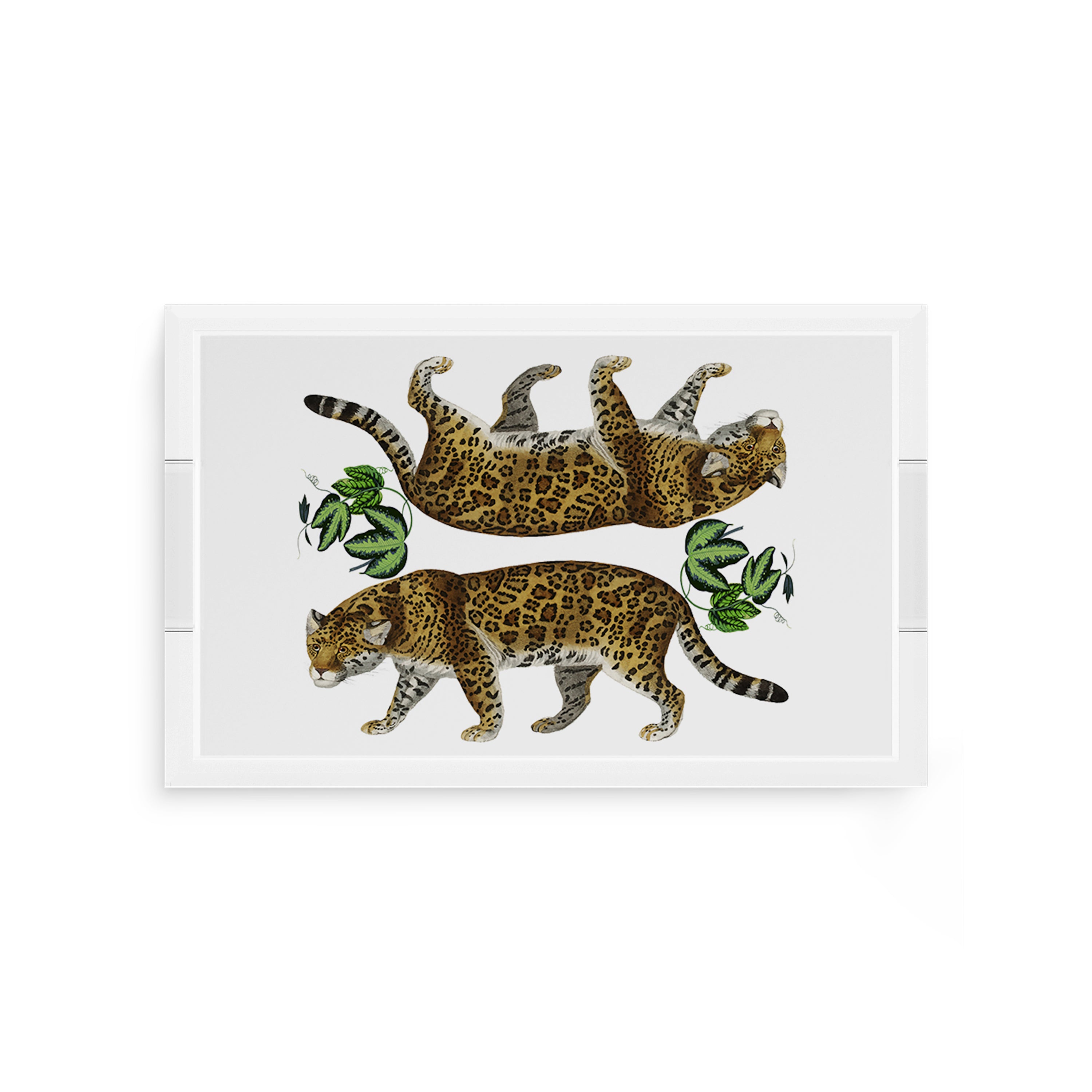 Leopard Seeing Double White 12.5X7.75 Acrylic Tray - nicolettemayer.com